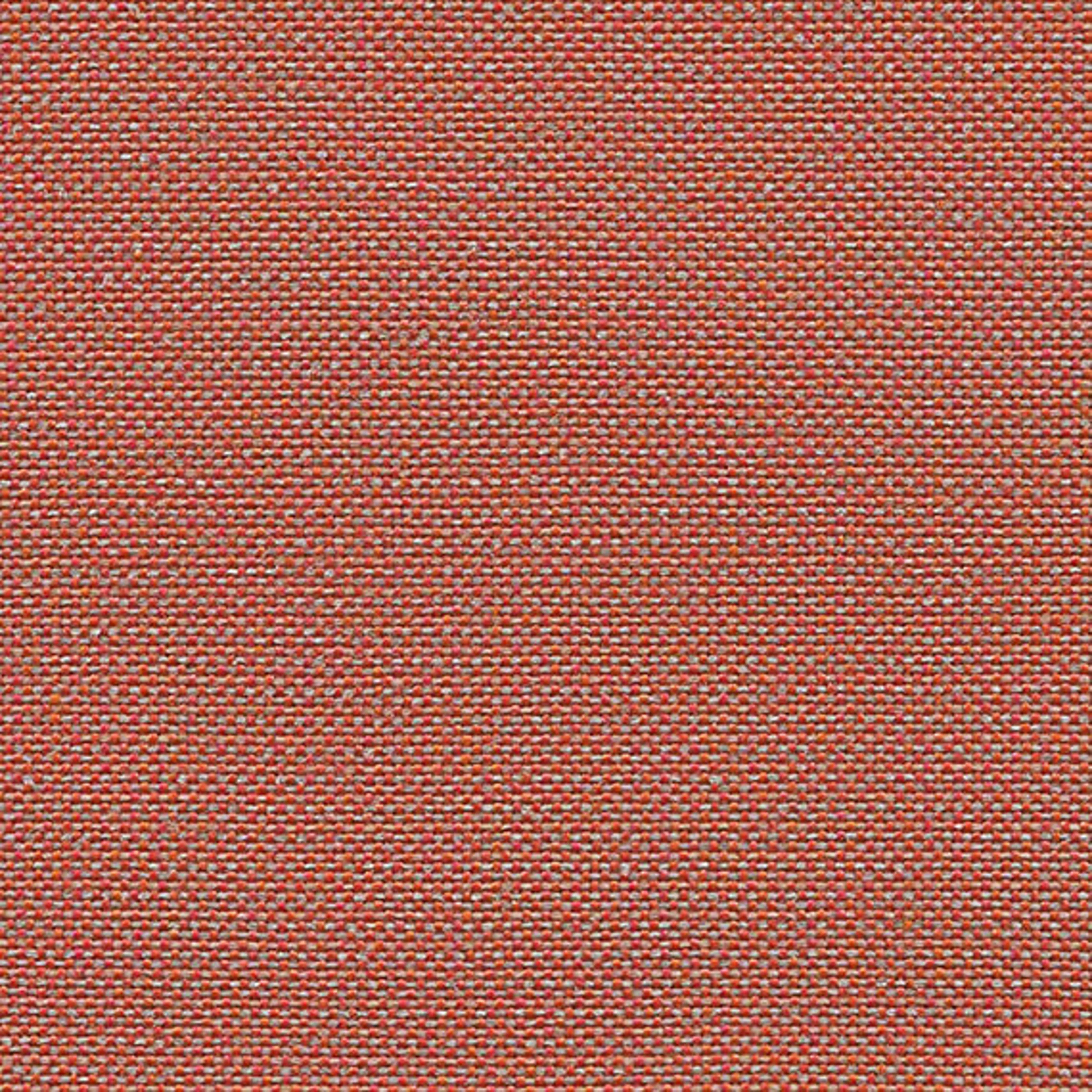 CLW07_WEB CLW07_WEB