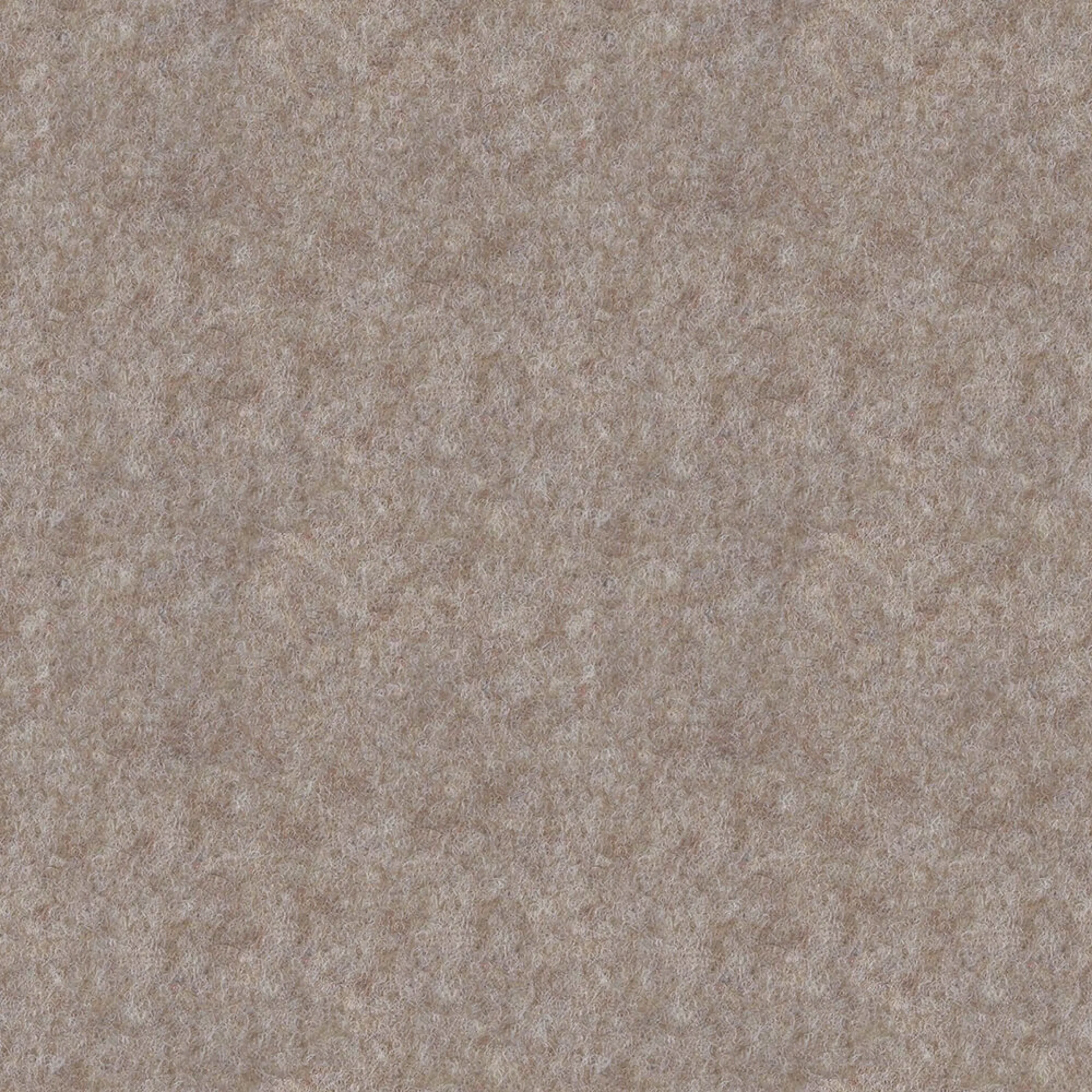 SJT12_WEB SJT12_WEB