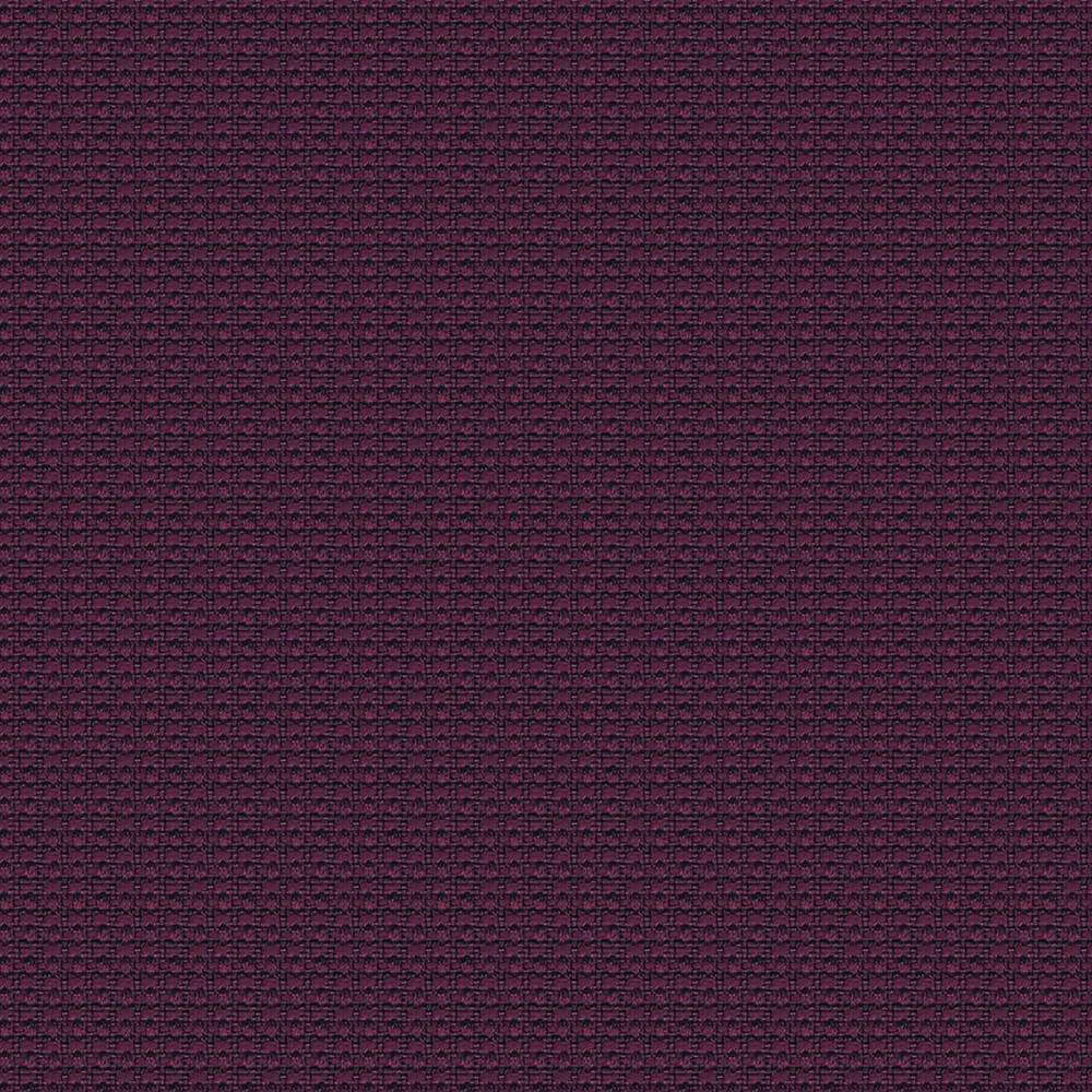 YI204_WEB YI204_WEB