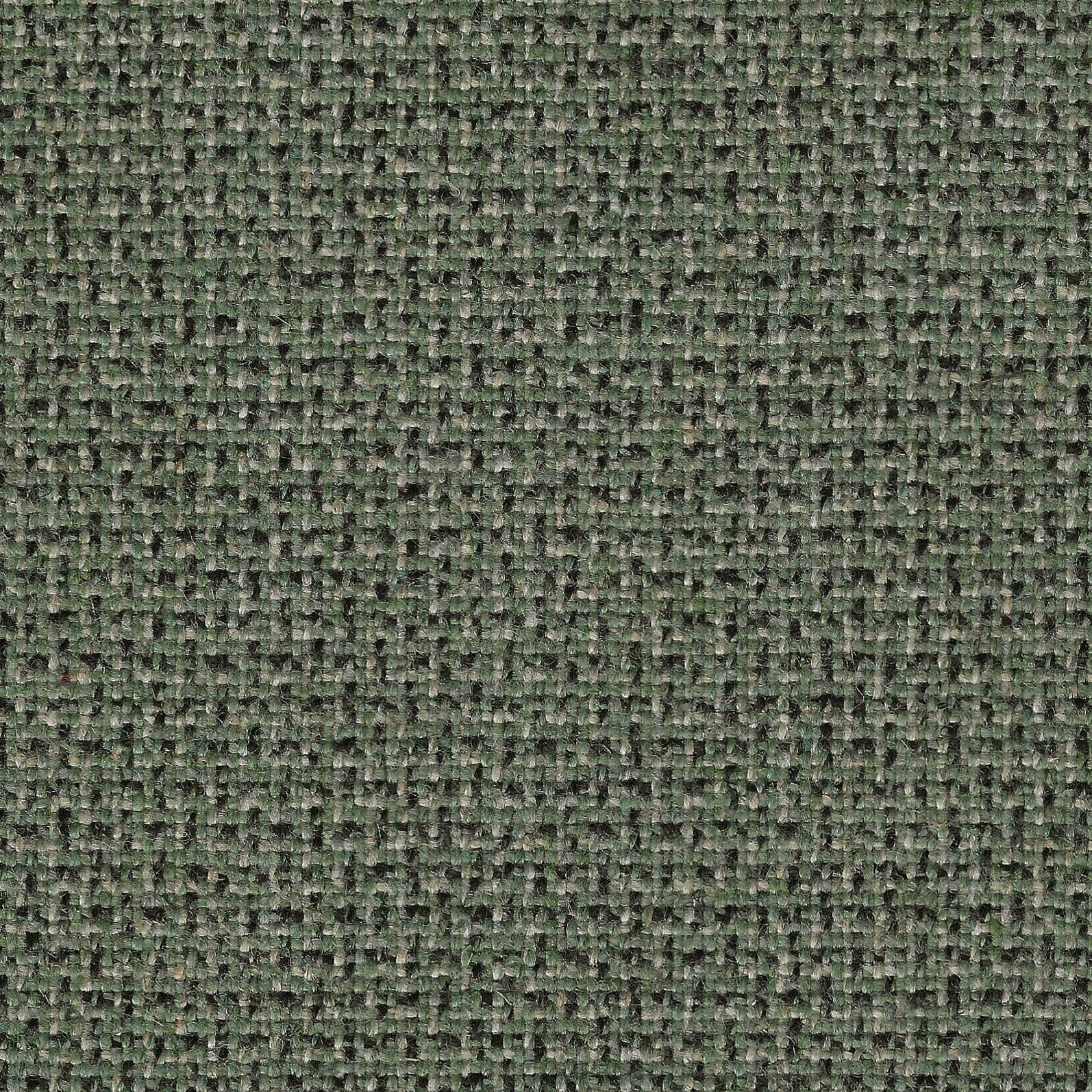 MLT11_WEB