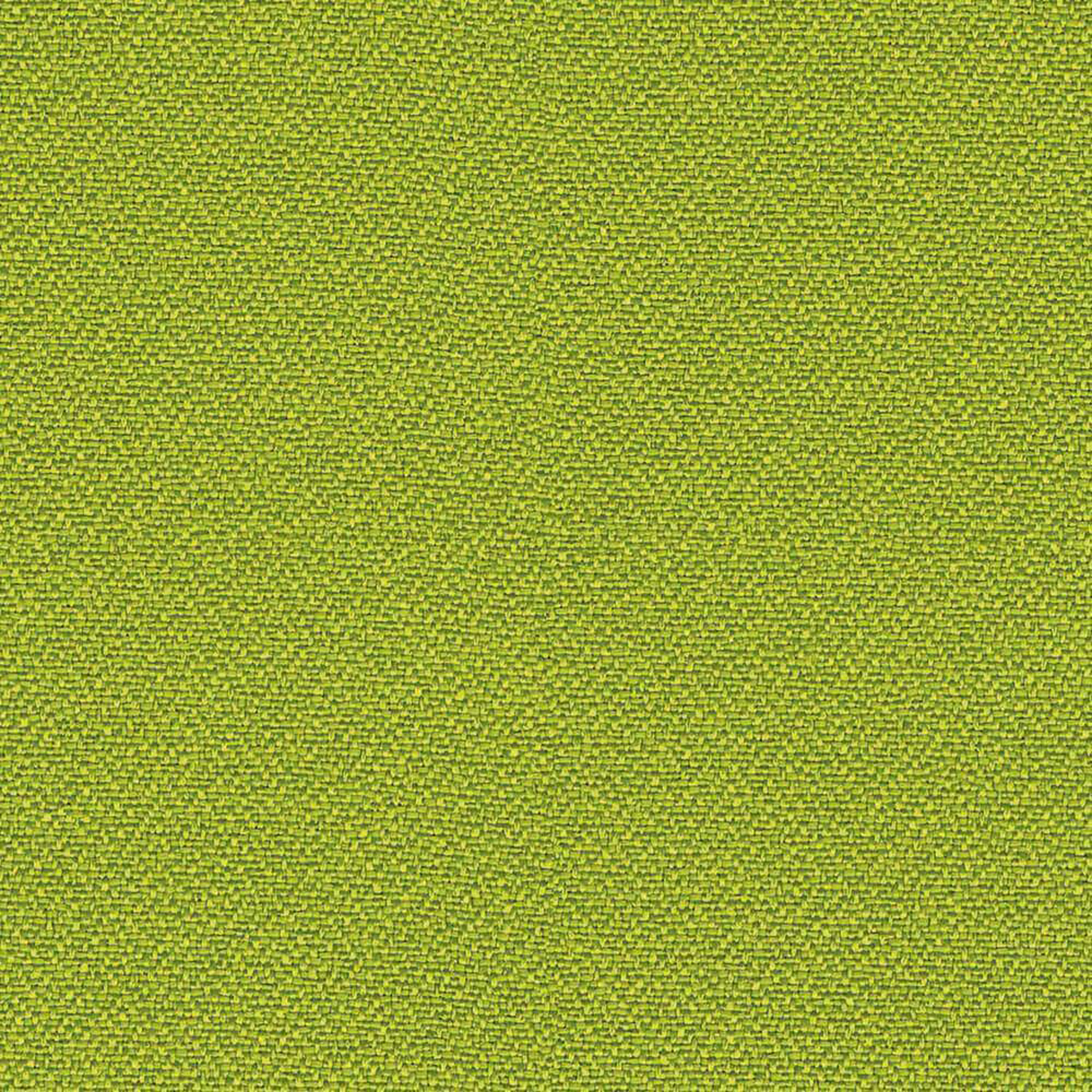 LC419_WEB LC419_WEB