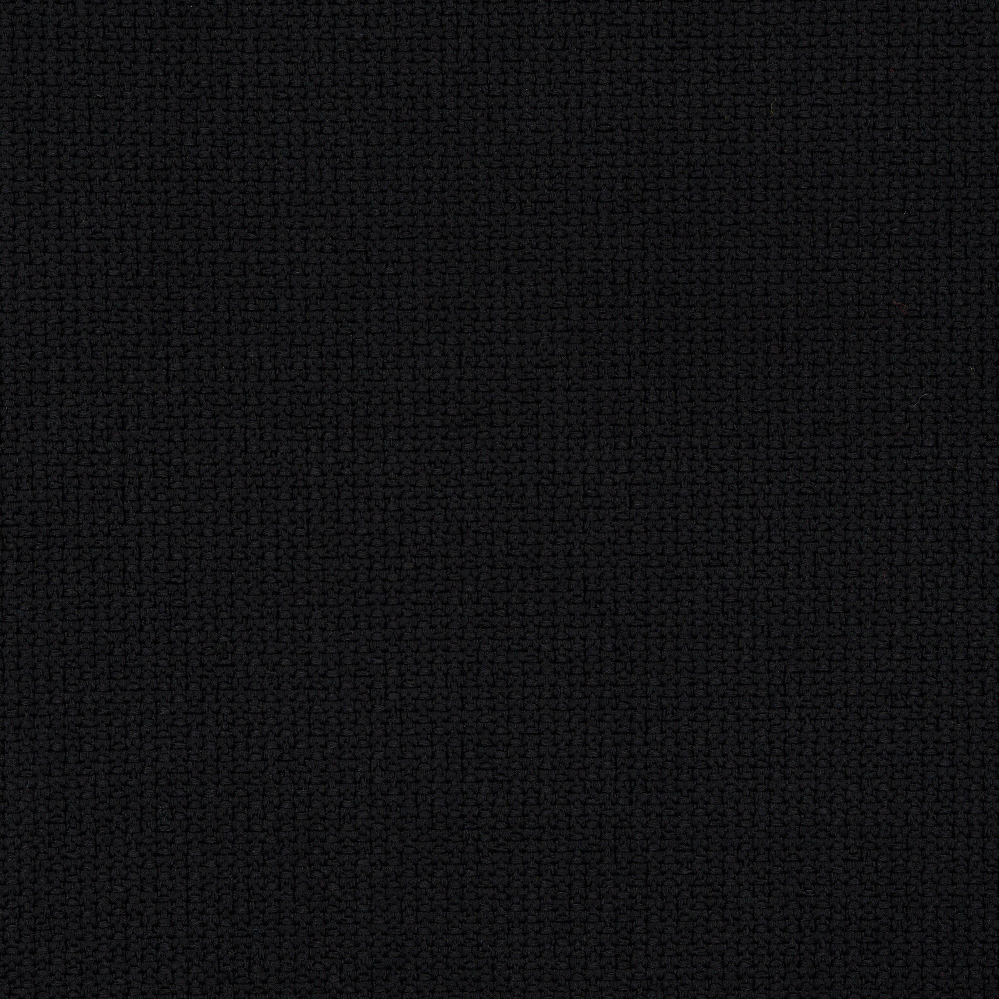Camira_REP33