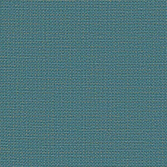 CLW13_WEB