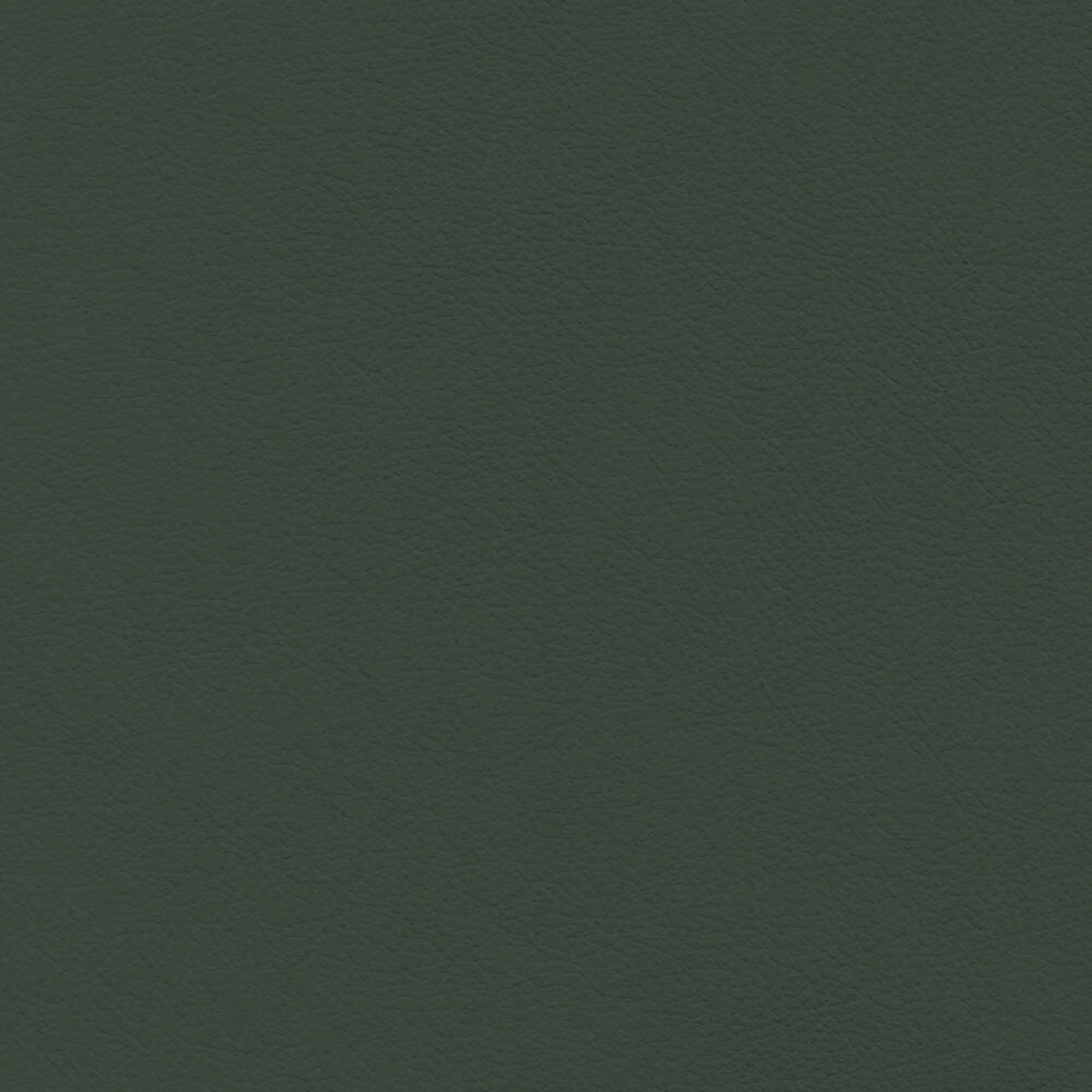 VIN07_WEB VIN07_WEB