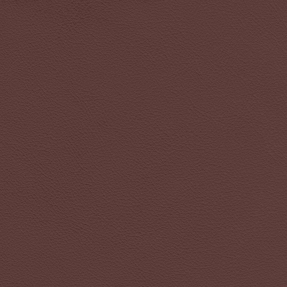 VIN38_WEB