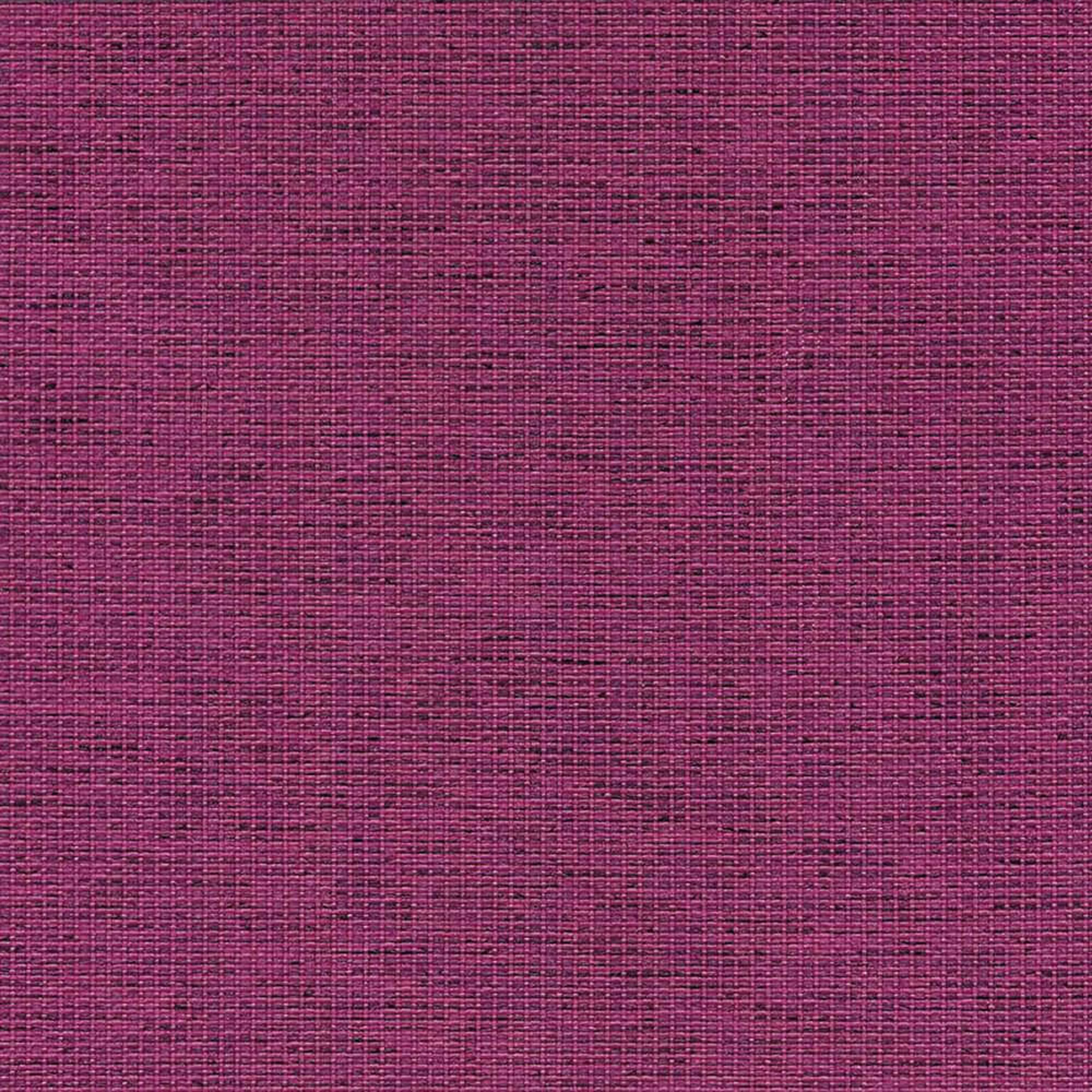 CPC01_WEB CPC01_WEB