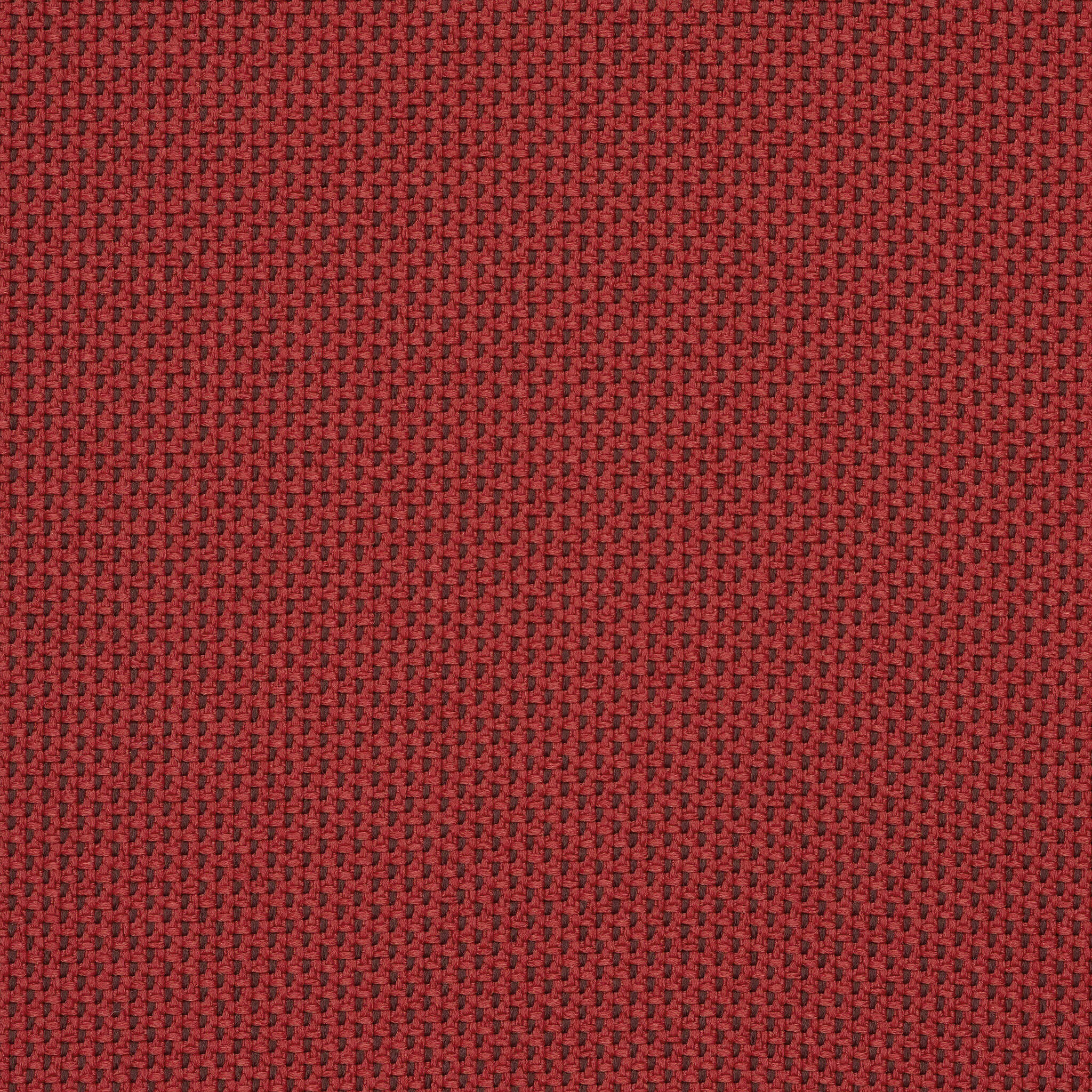 Camira_REP22