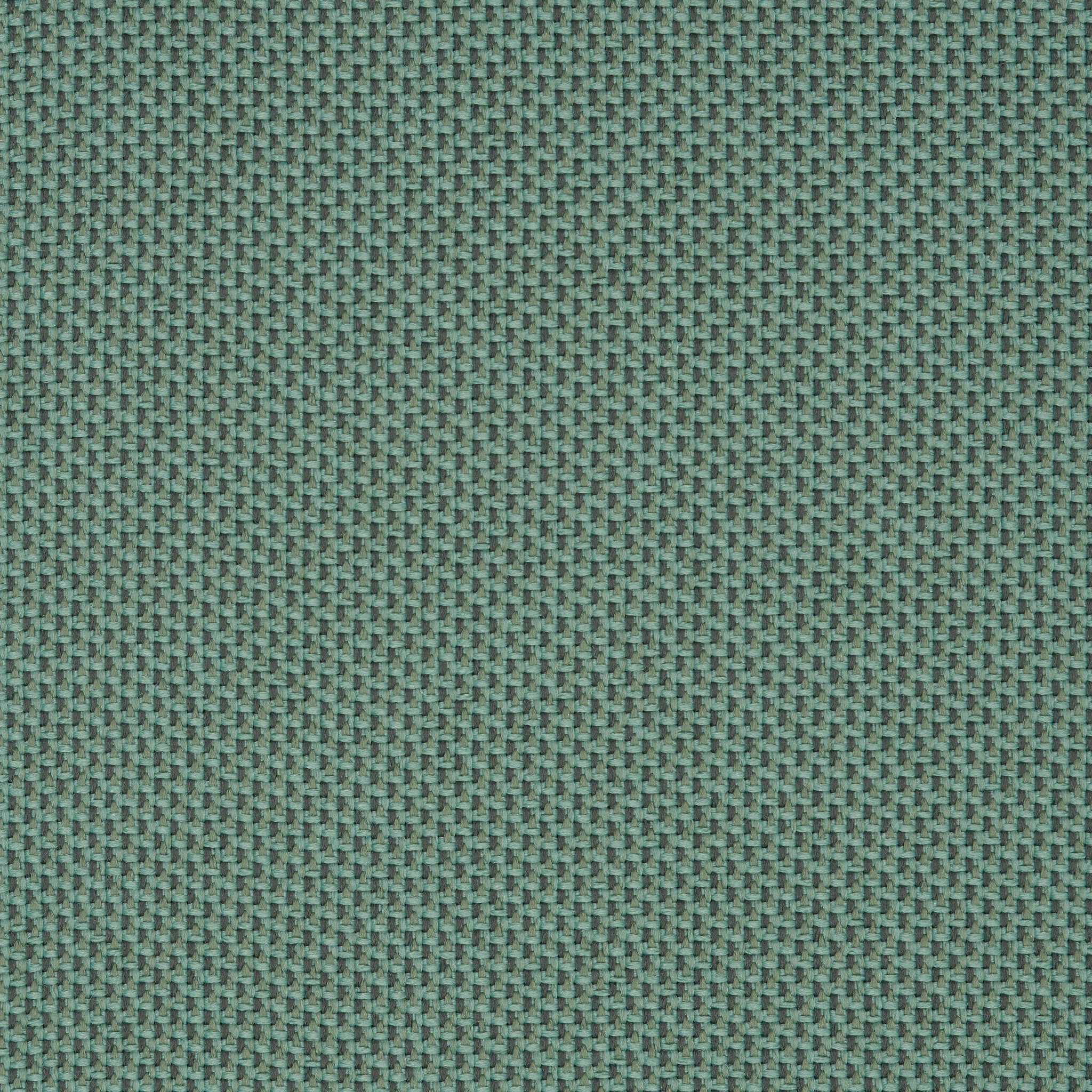 Camira_REP07