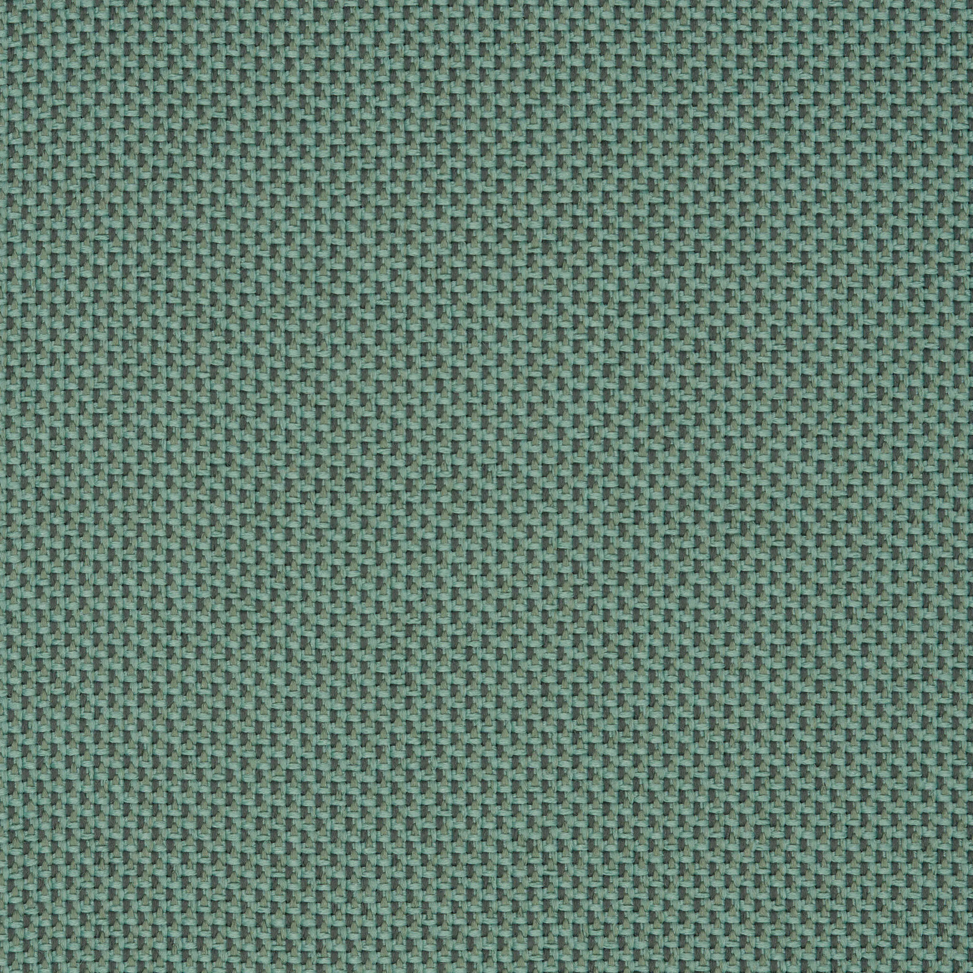 Camira_REP07 Camira_REP07