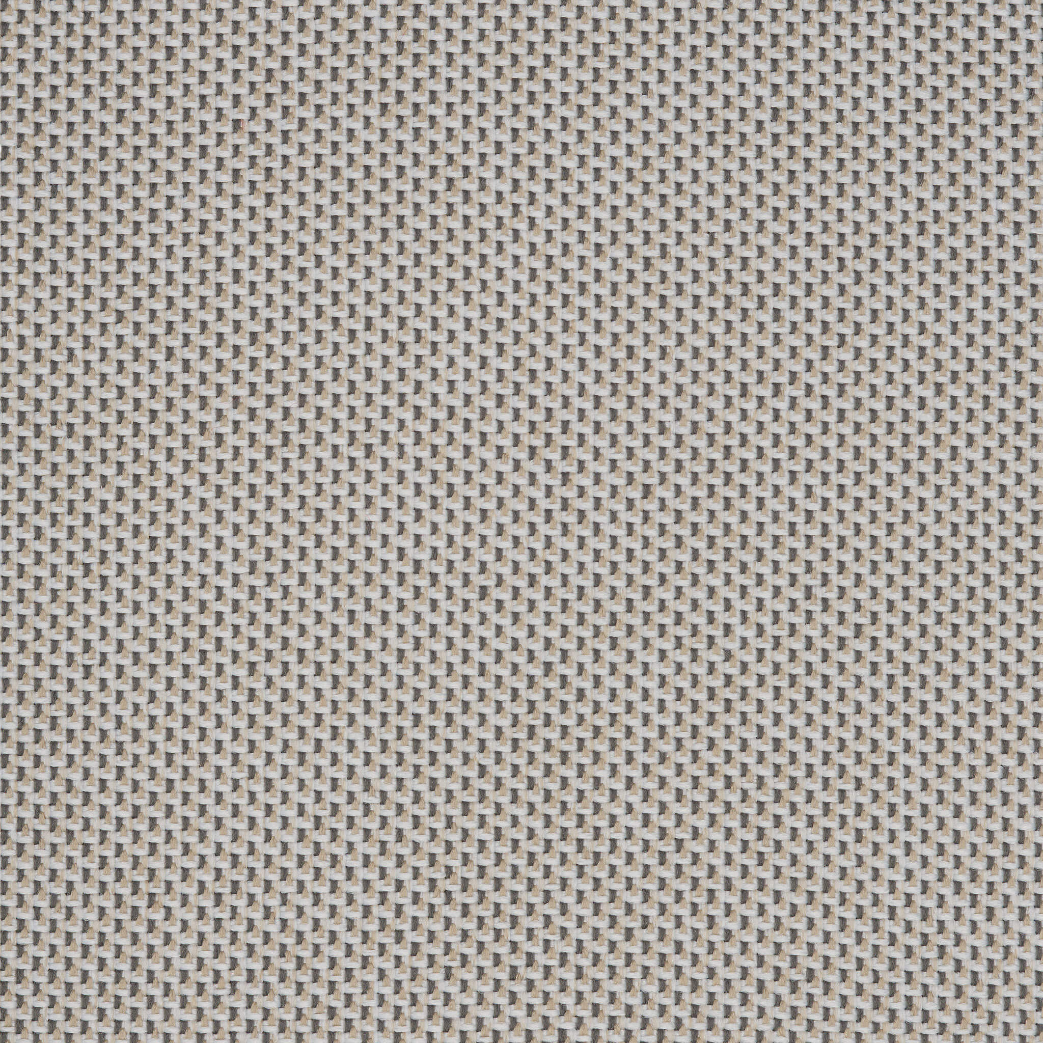 Camira_REP13