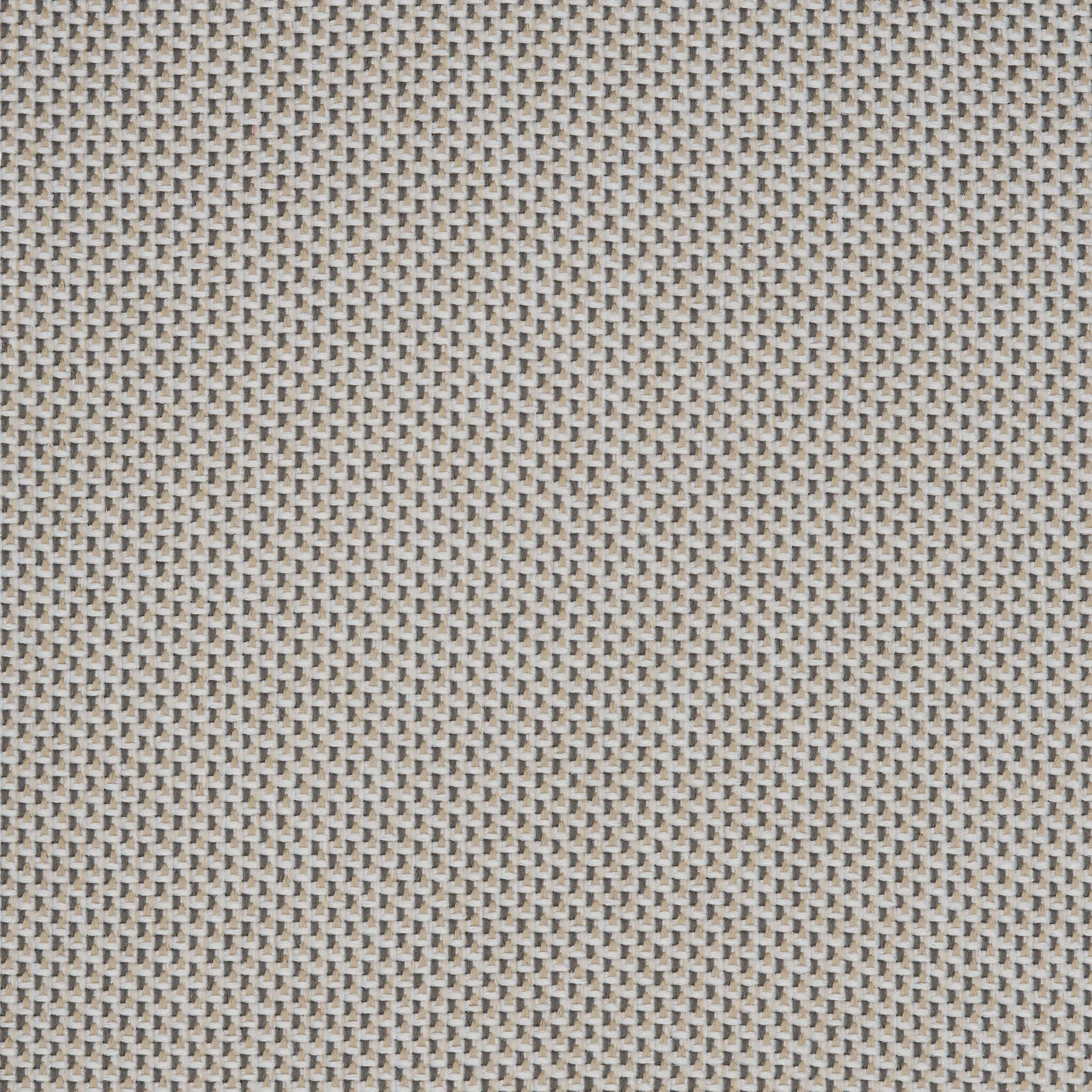 Camira_REP13 Camira_REP13