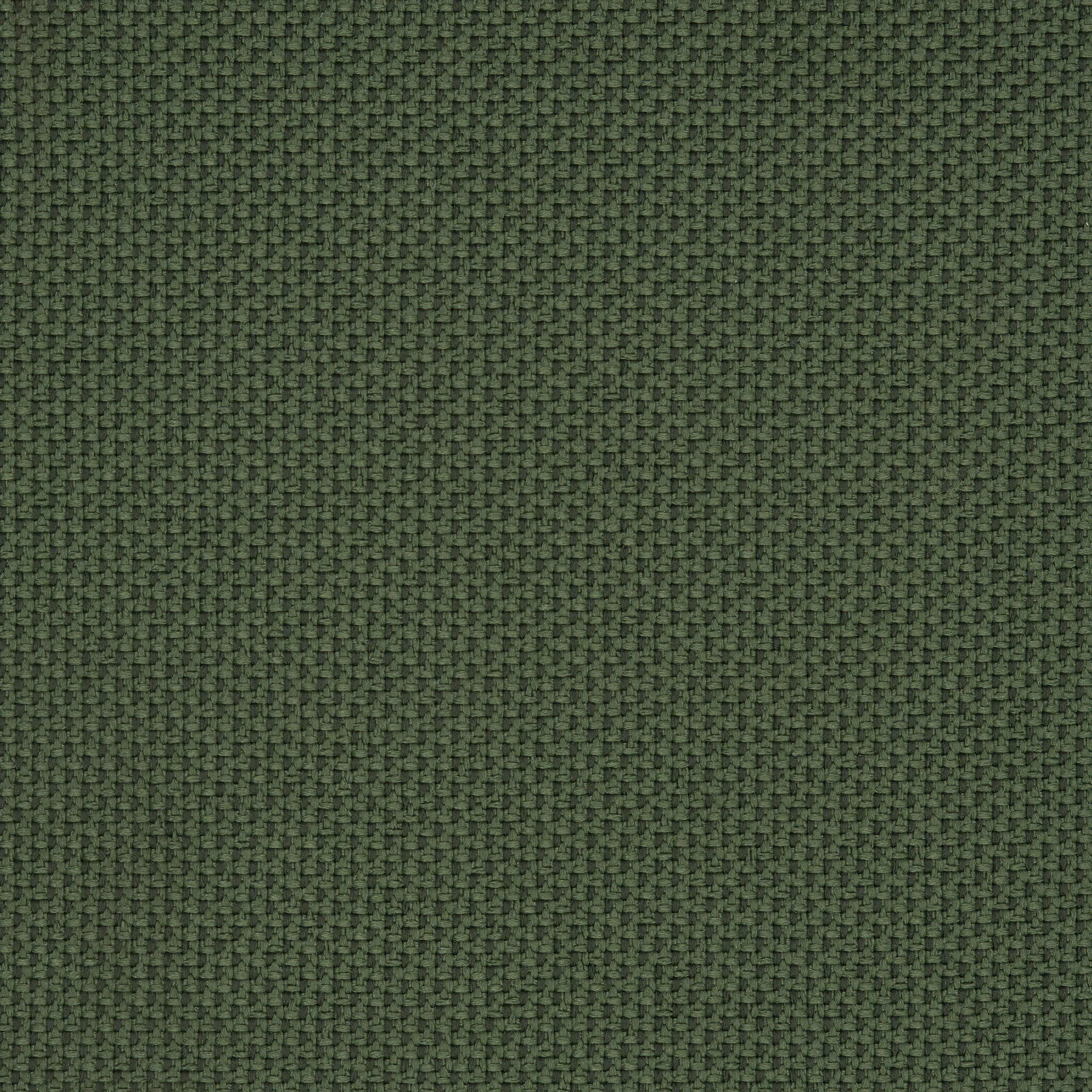Camira_REP11 Camira_REP11