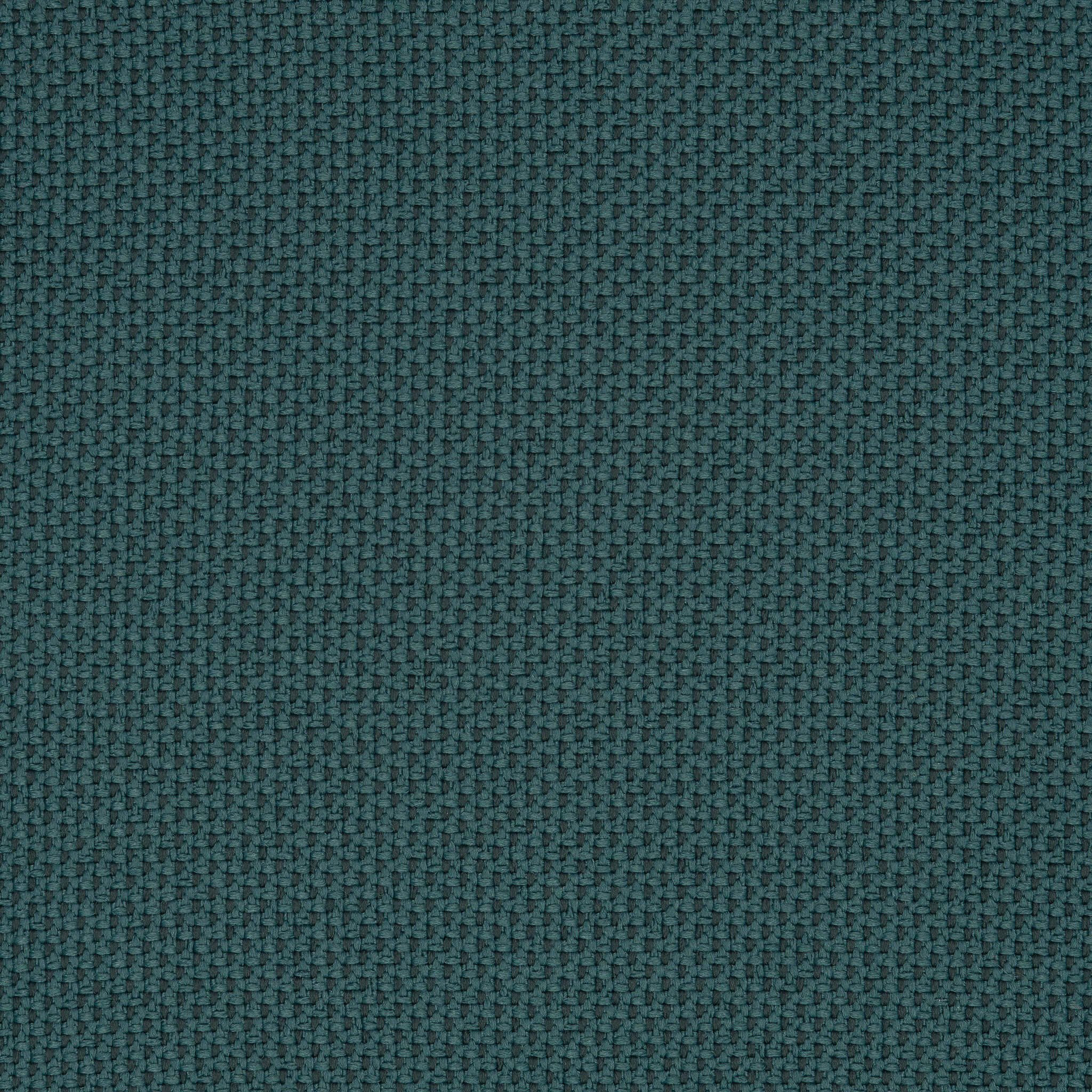 Camira_REP08