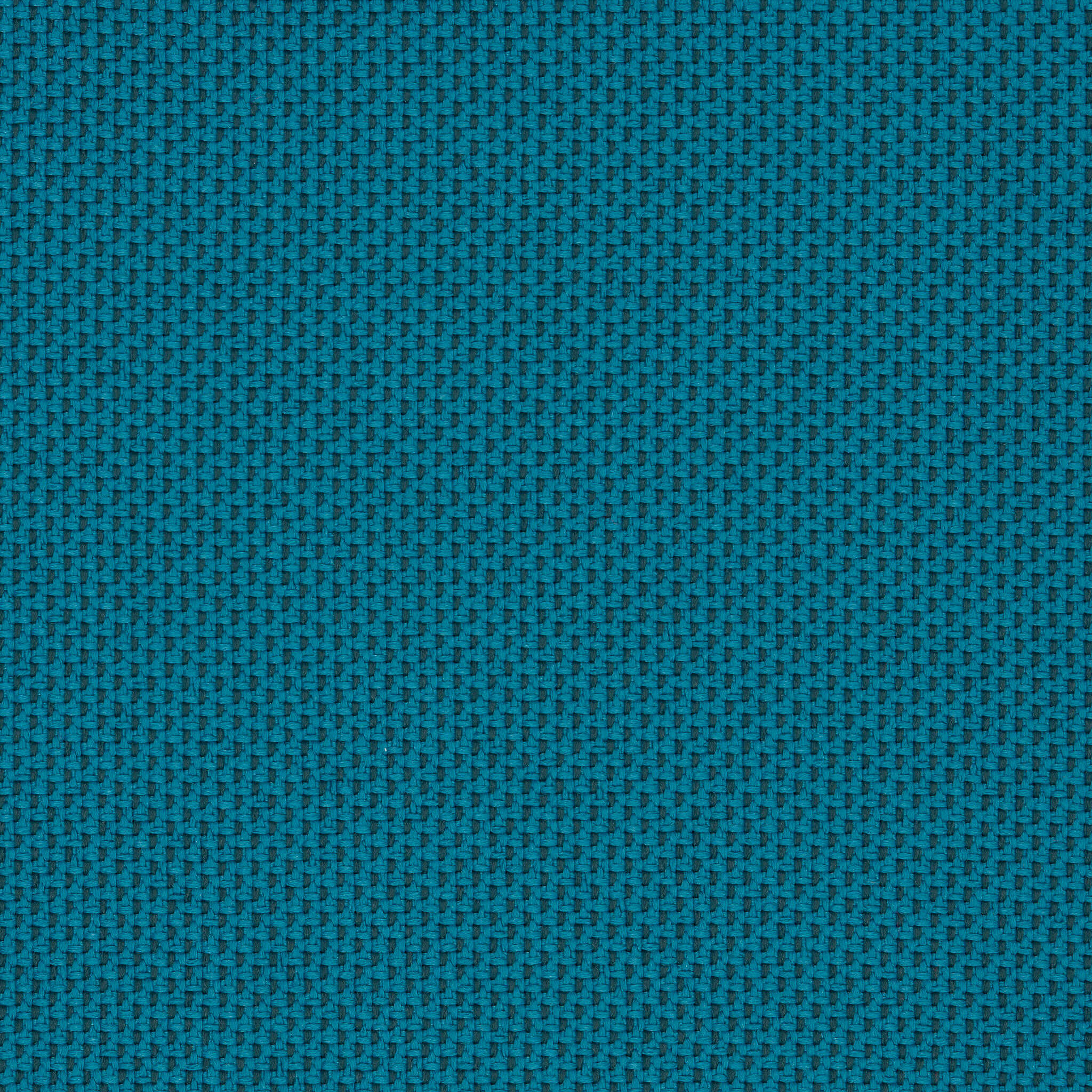 Camira_REP06
