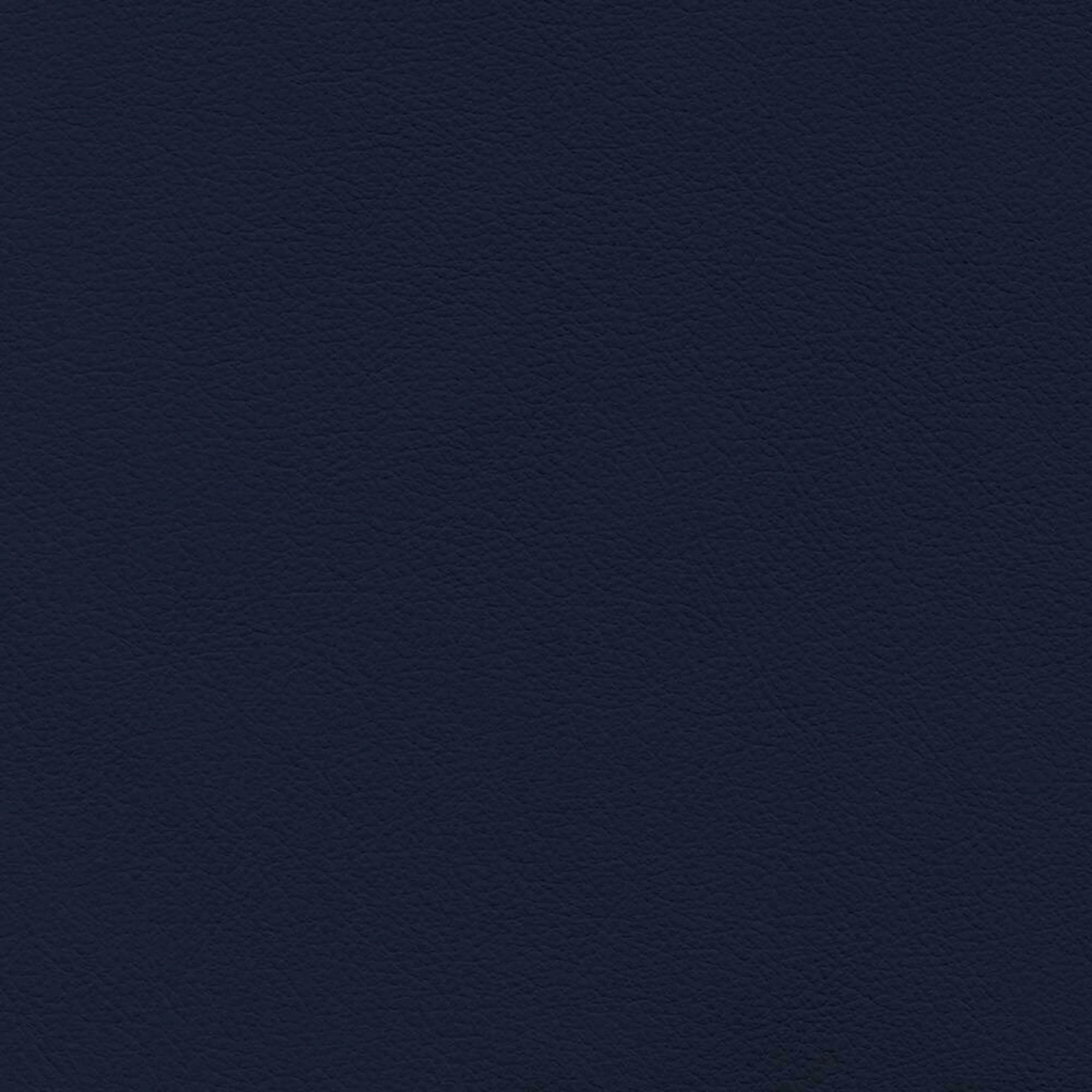VIN51_WEB VIN51_WEB