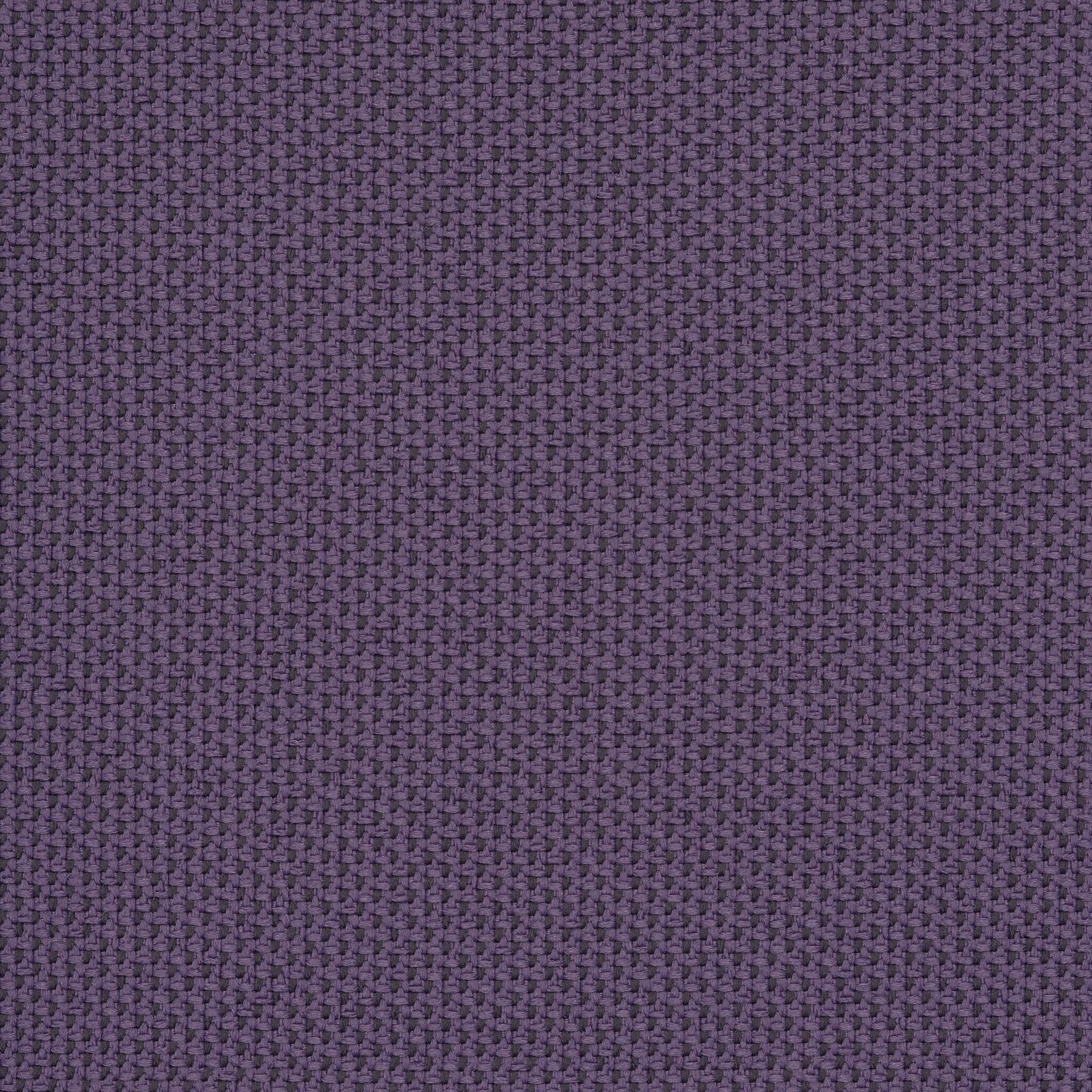 Camira_REP31 Camira_REP31