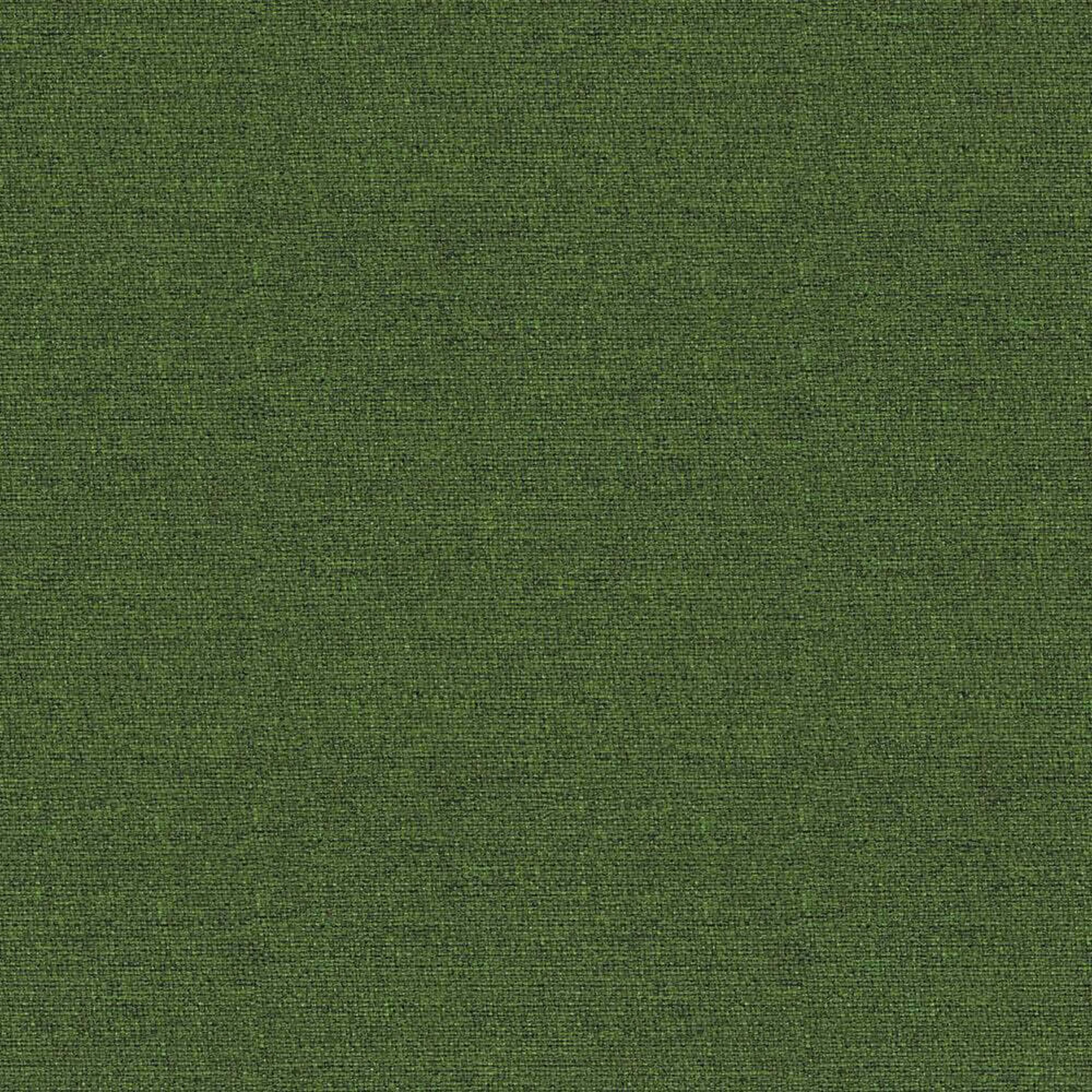 ACT18_WEB ACT18_WEB