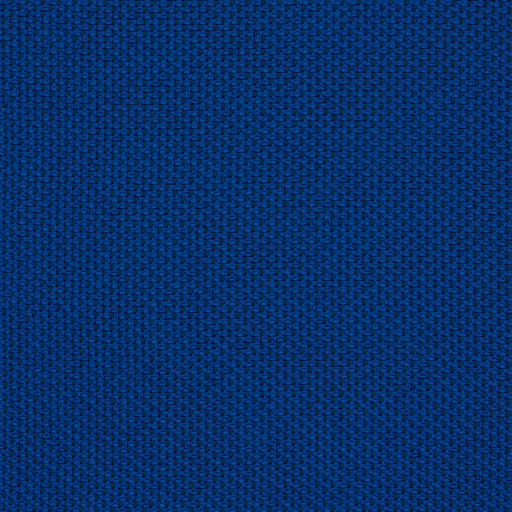 Camira_REP05