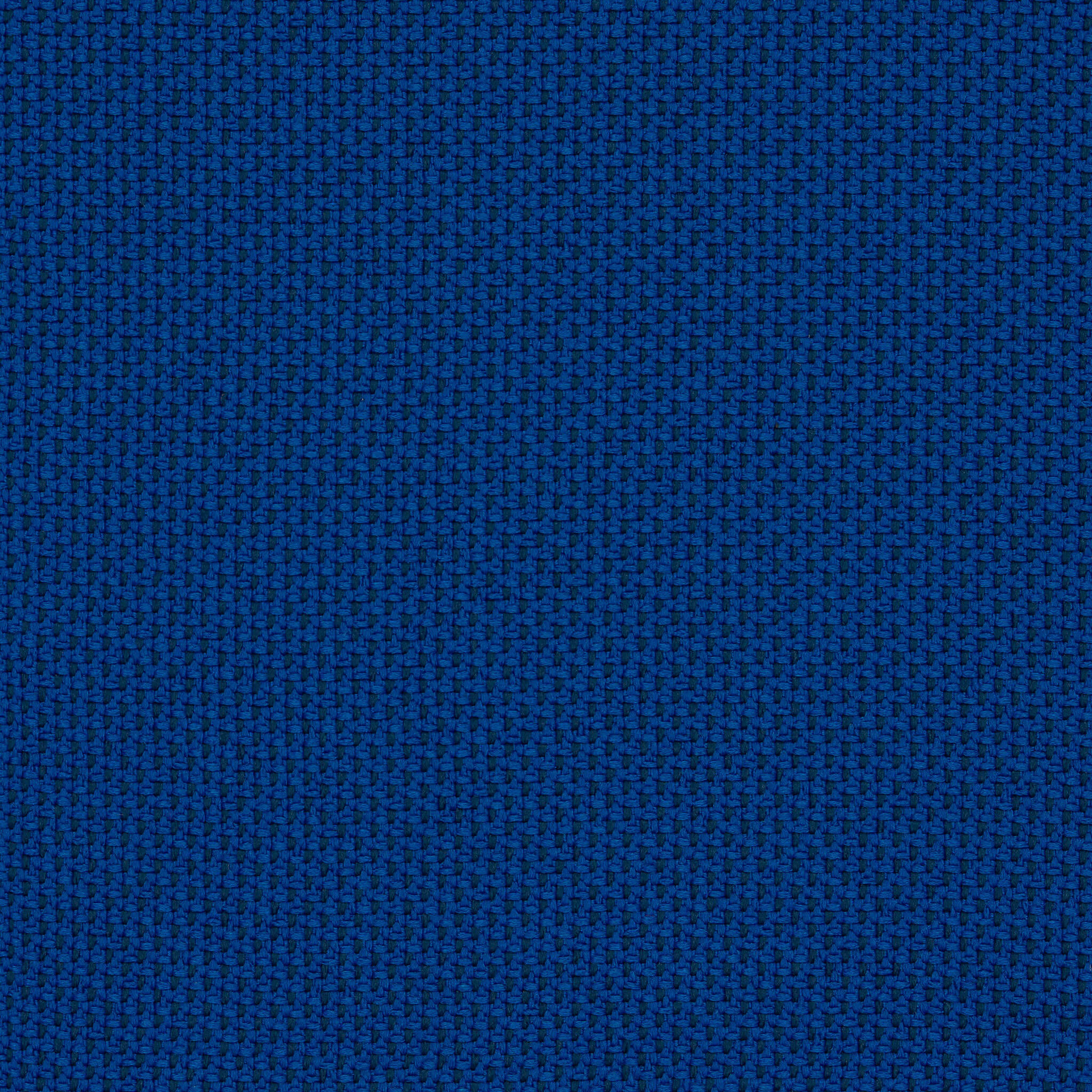 Camira_REP05 Camira_REP05