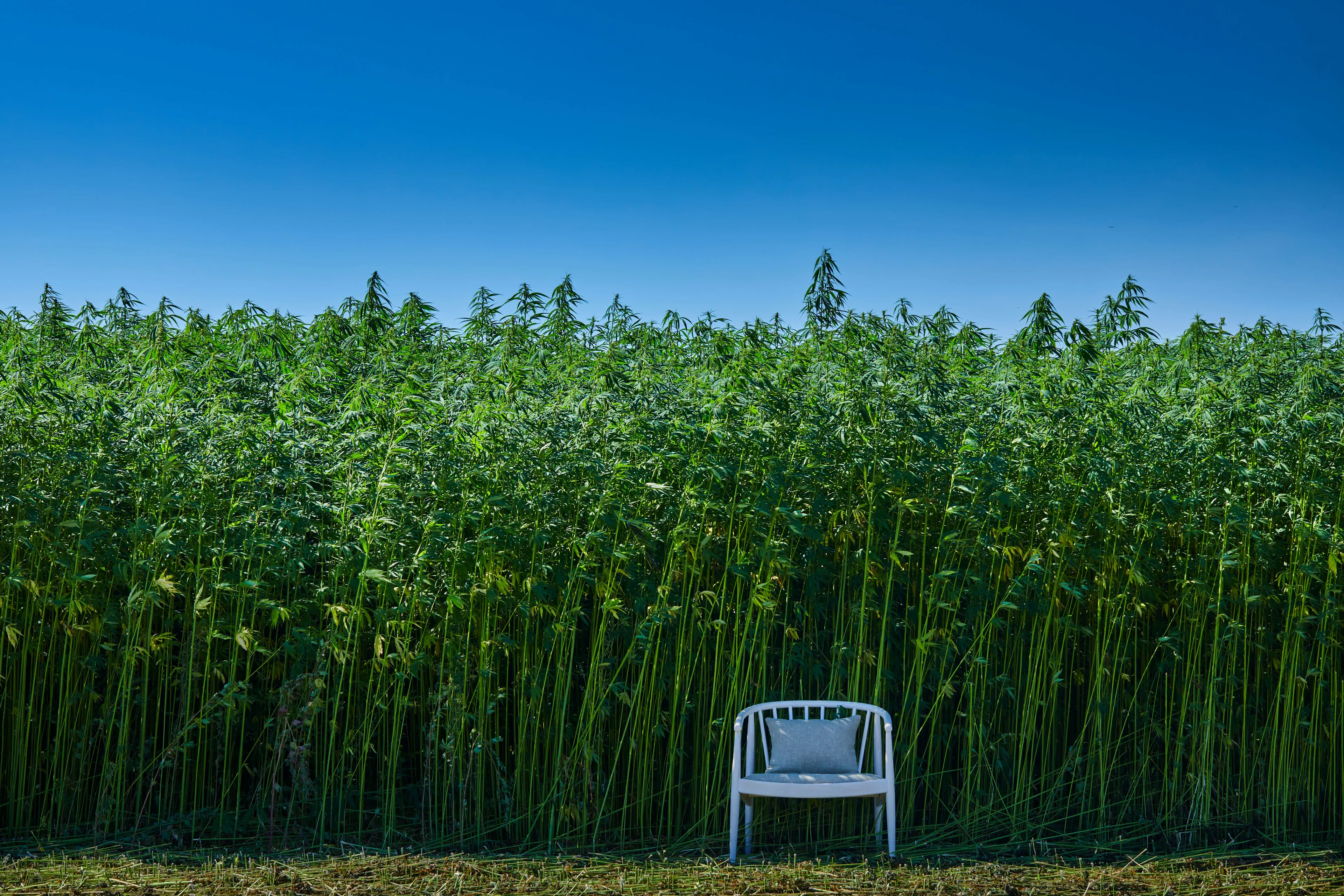 Hemp Chair Hero Hemp Chair Hero
