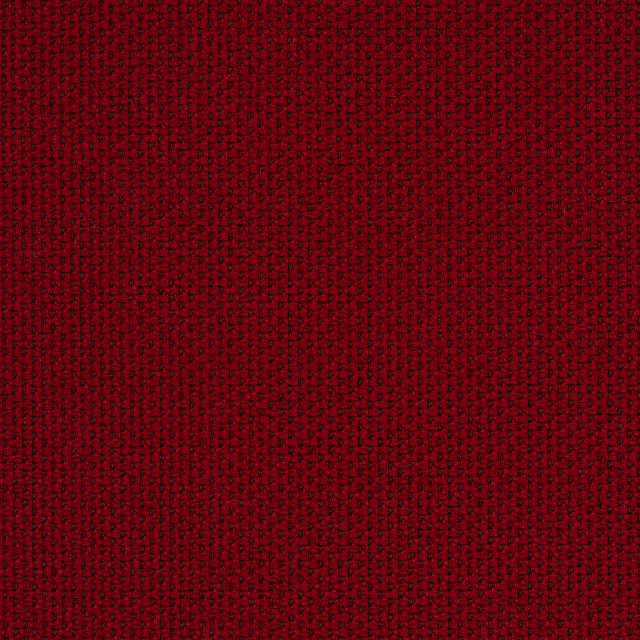 Camira_REP24