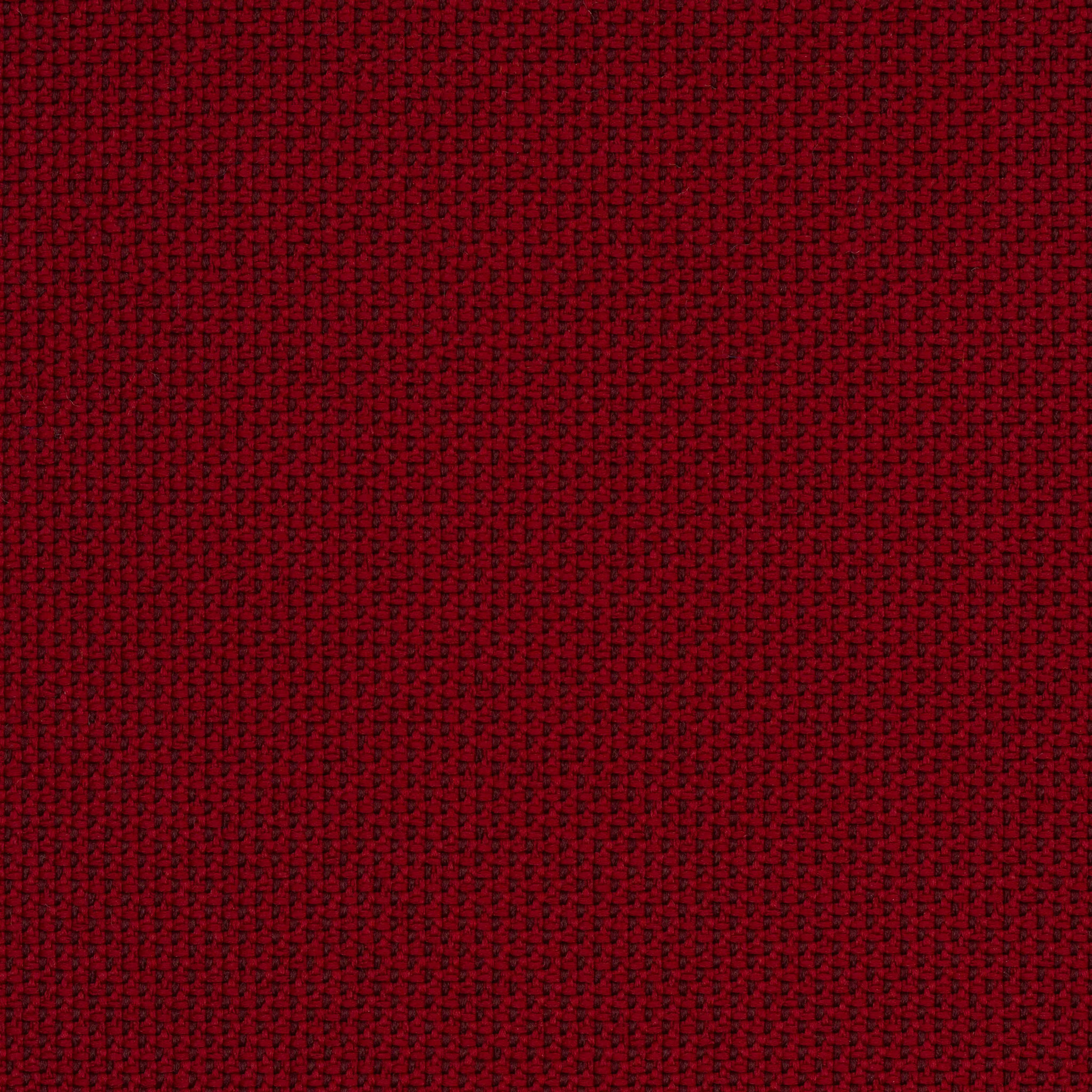 Camira_REP24 Camira_REP24