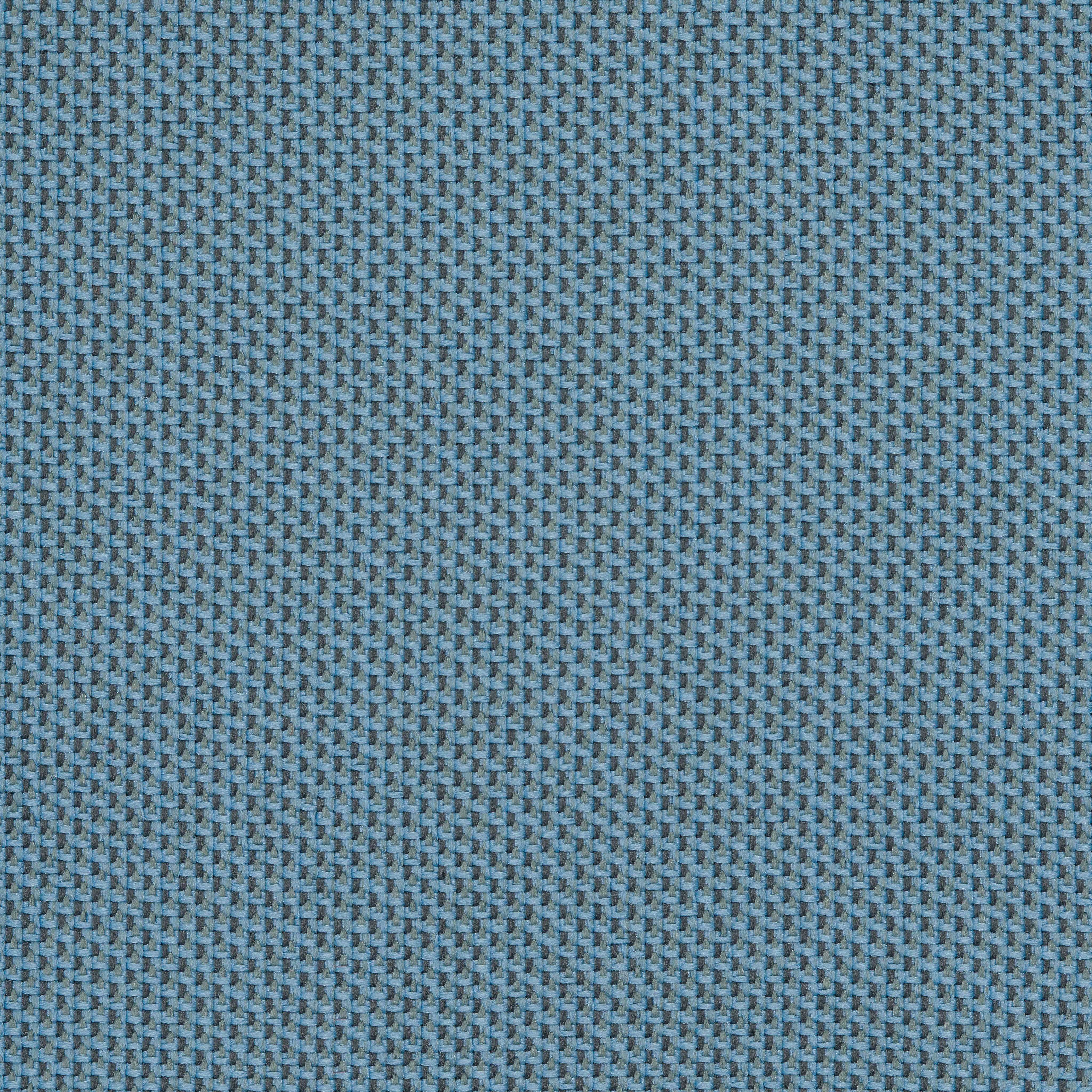 Camira_REP01