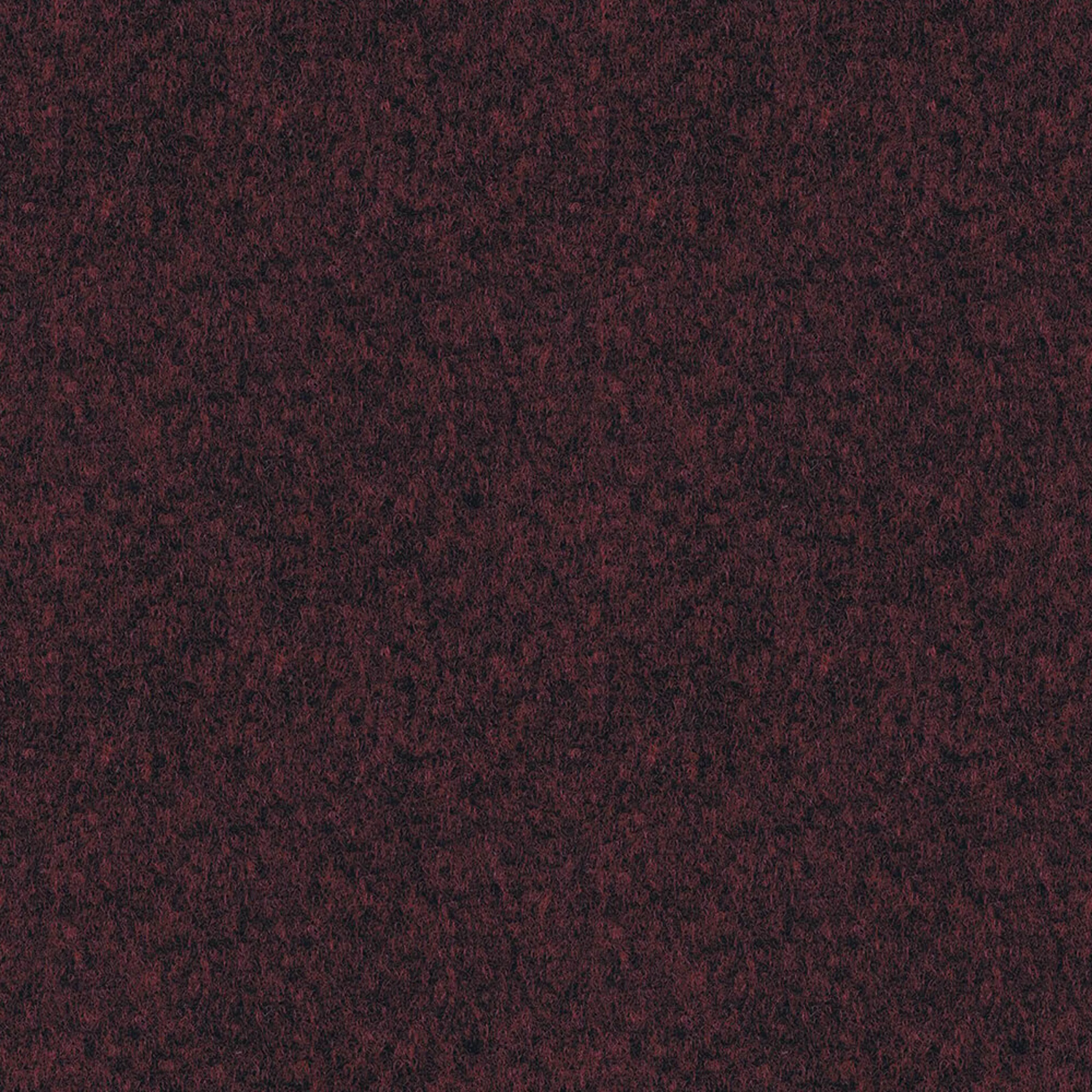 SJT13_WEB SJT13_WEB