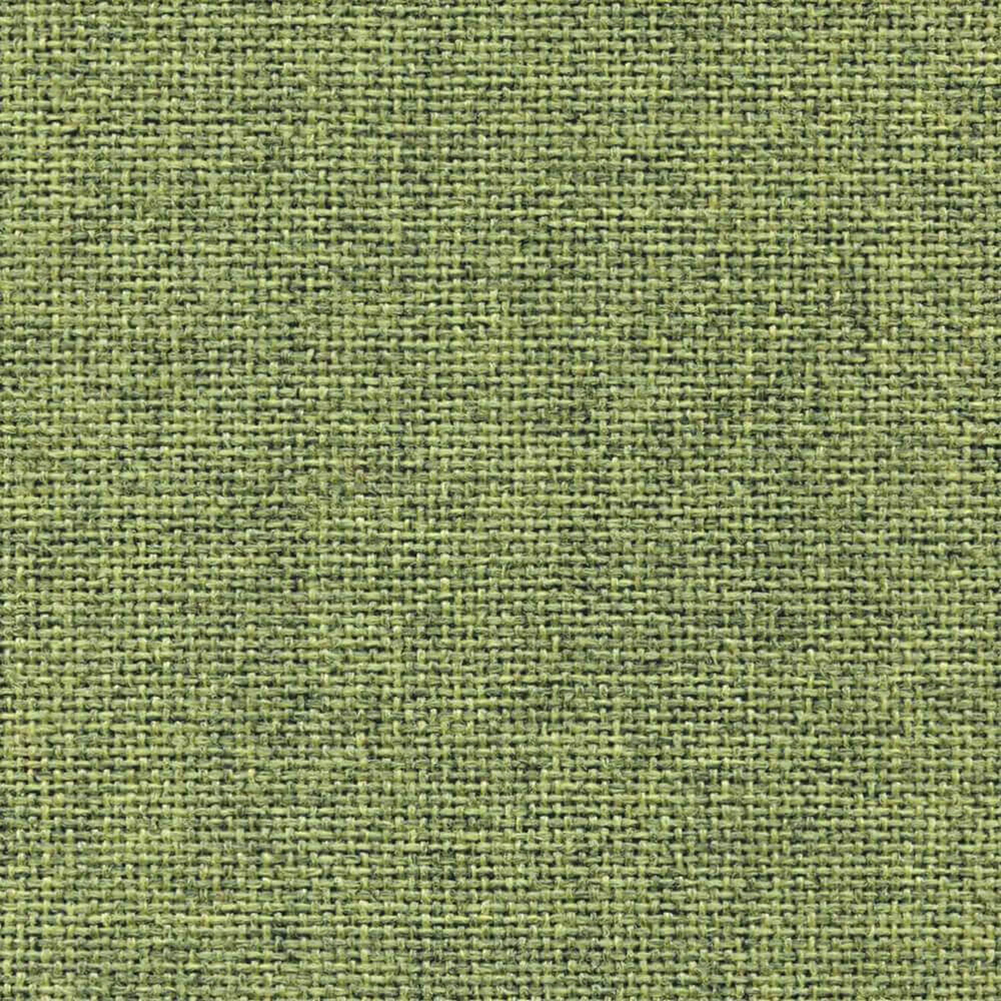 EJ186_WEB EJ186_WEB