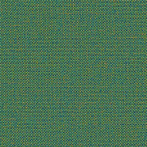 CLW20_WEB