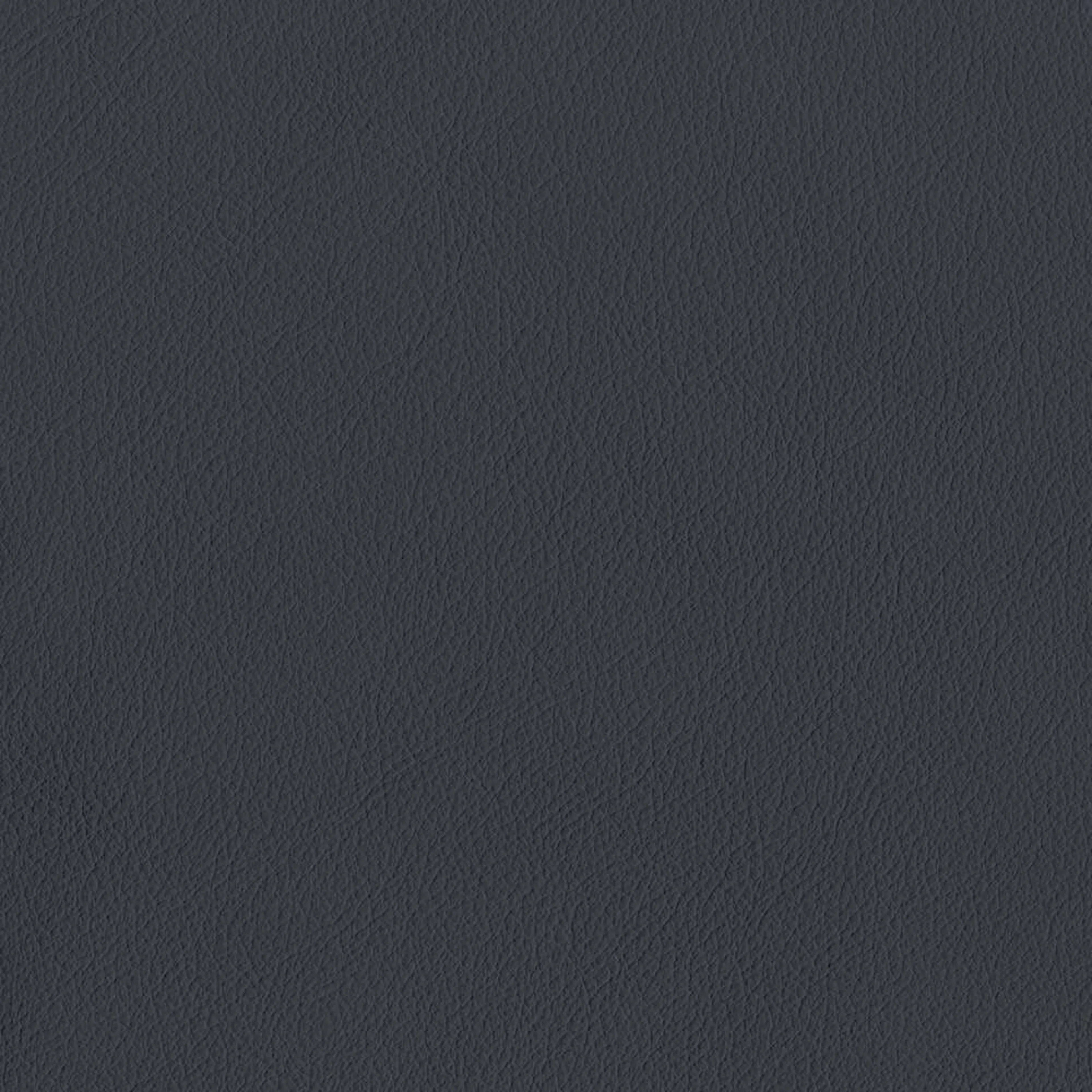 VIN02_WEB VIN02_WEB