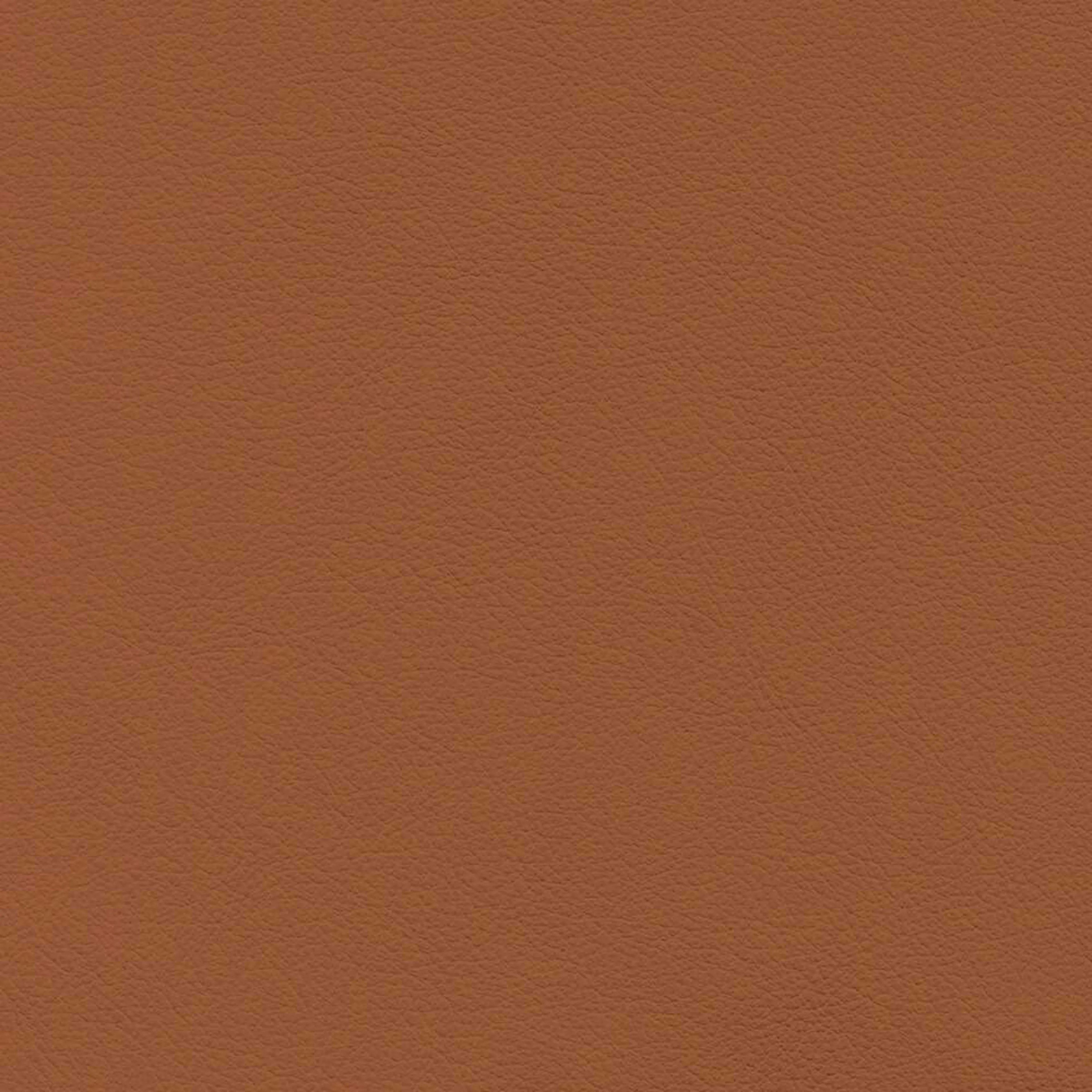 VIN53_WEB VIN53_WEB