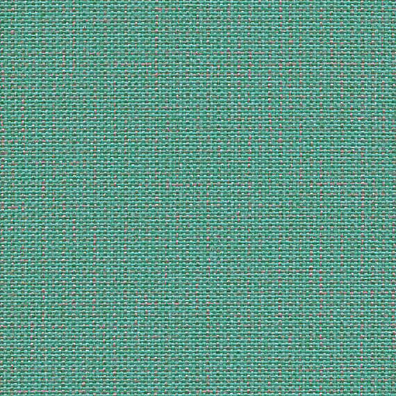CLW16_WEB