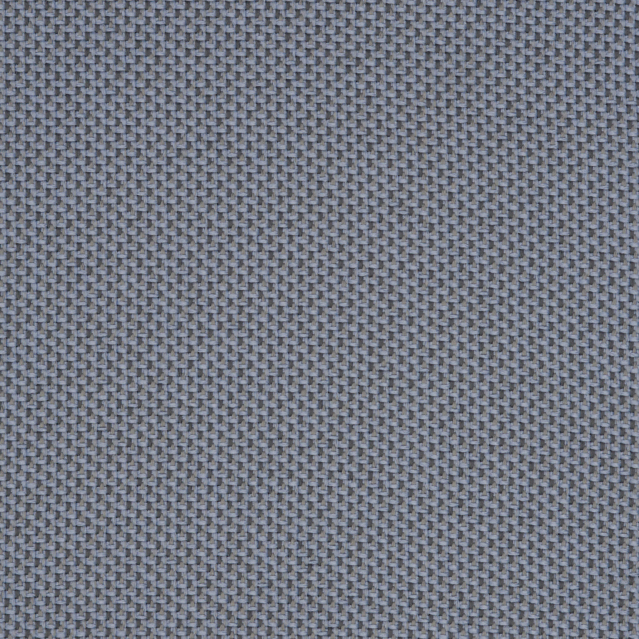 Camira_REP28