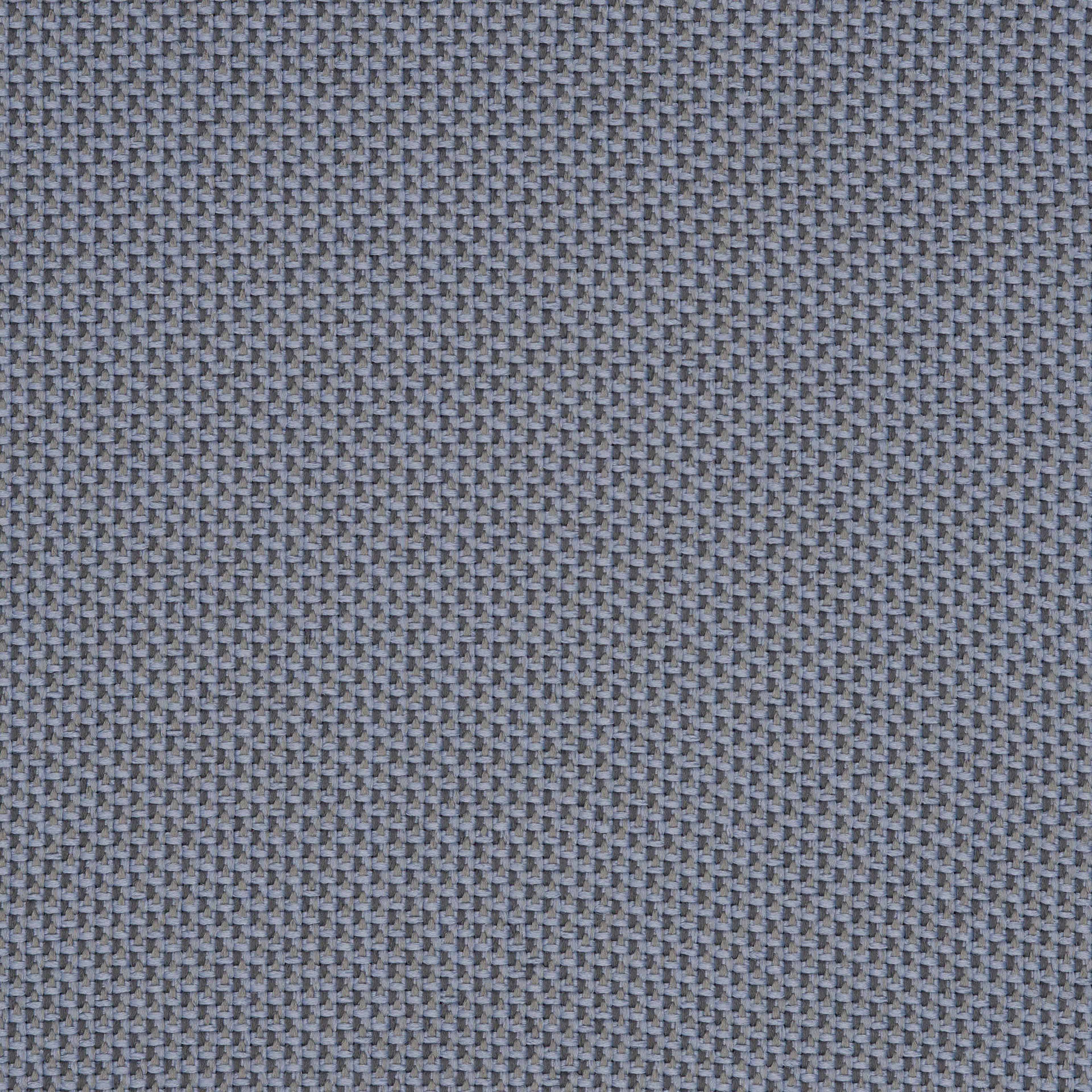Camira_REP28