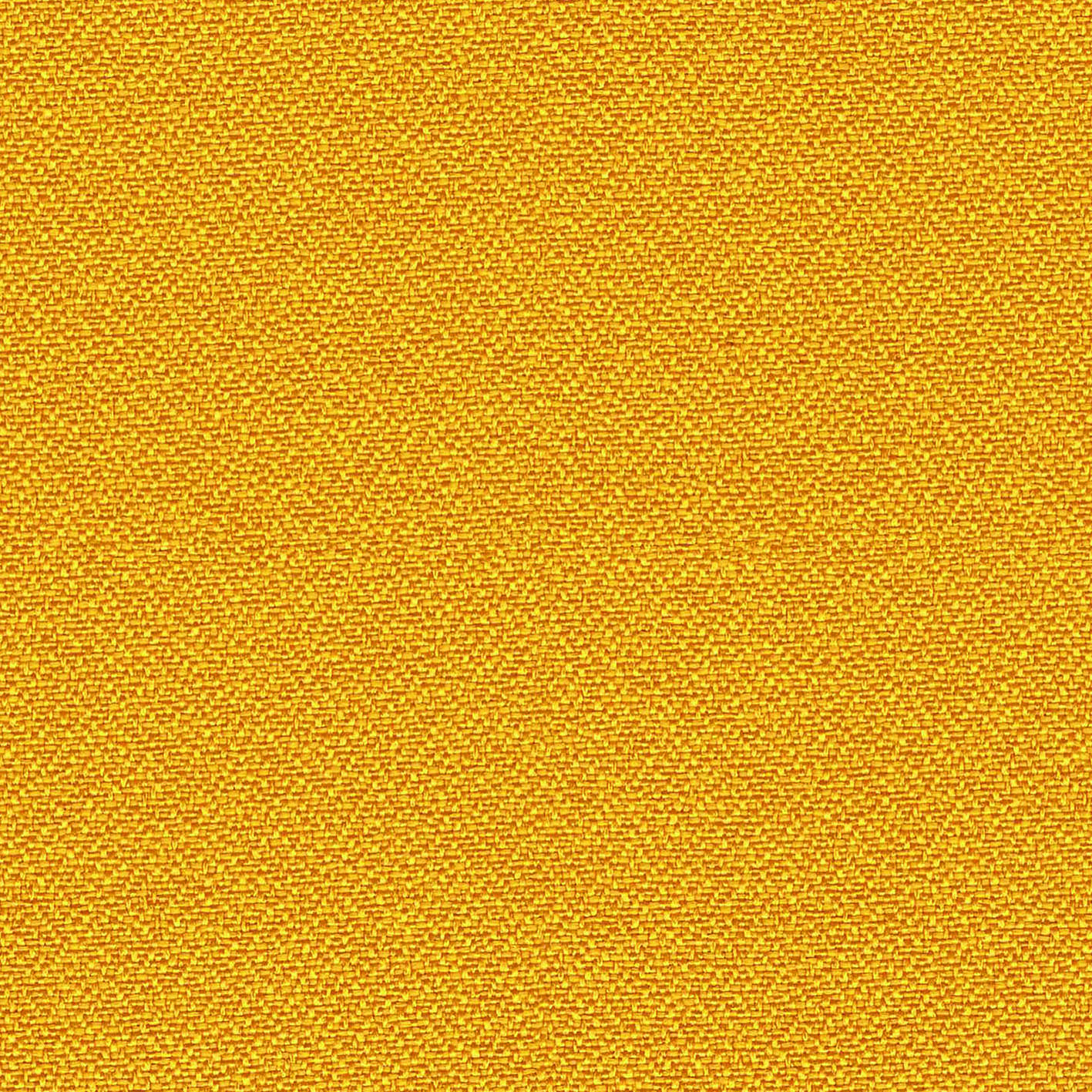 YP110_WEB
