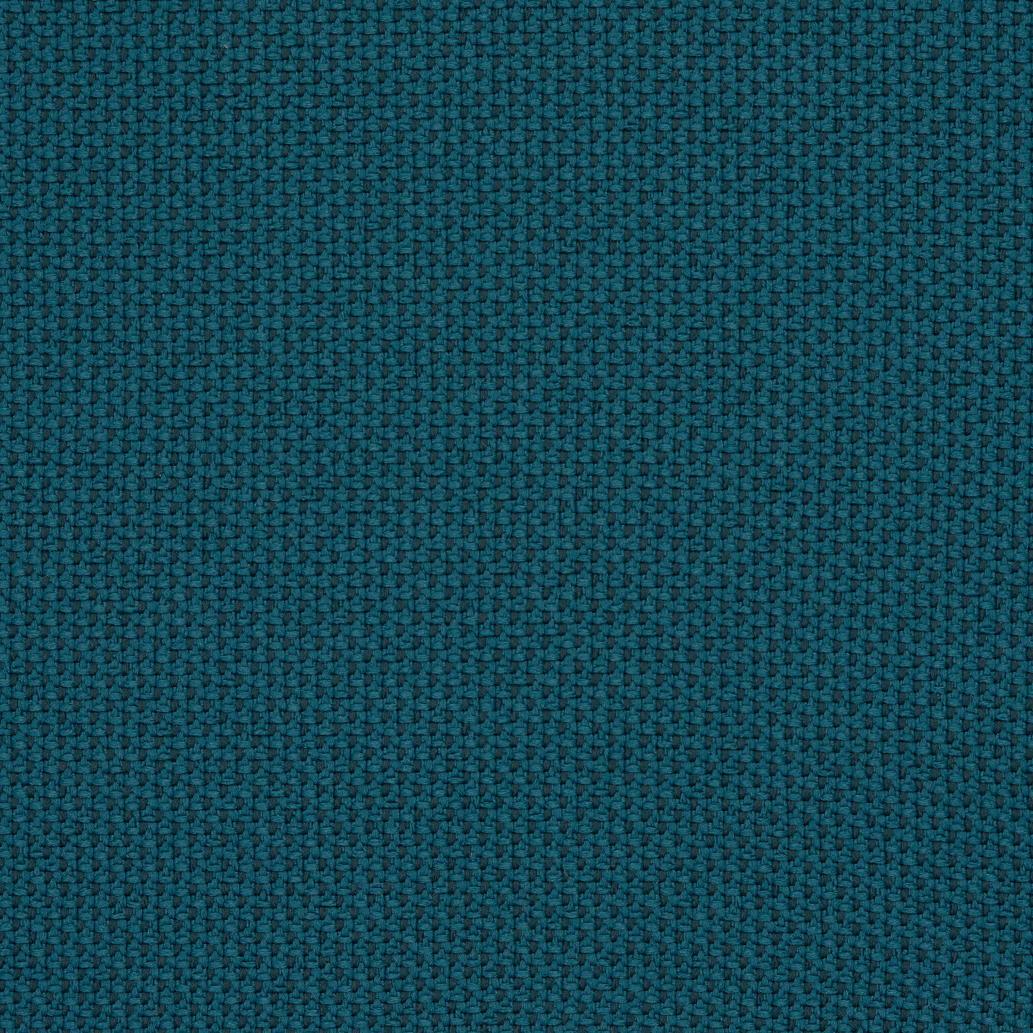 Camira_REP09