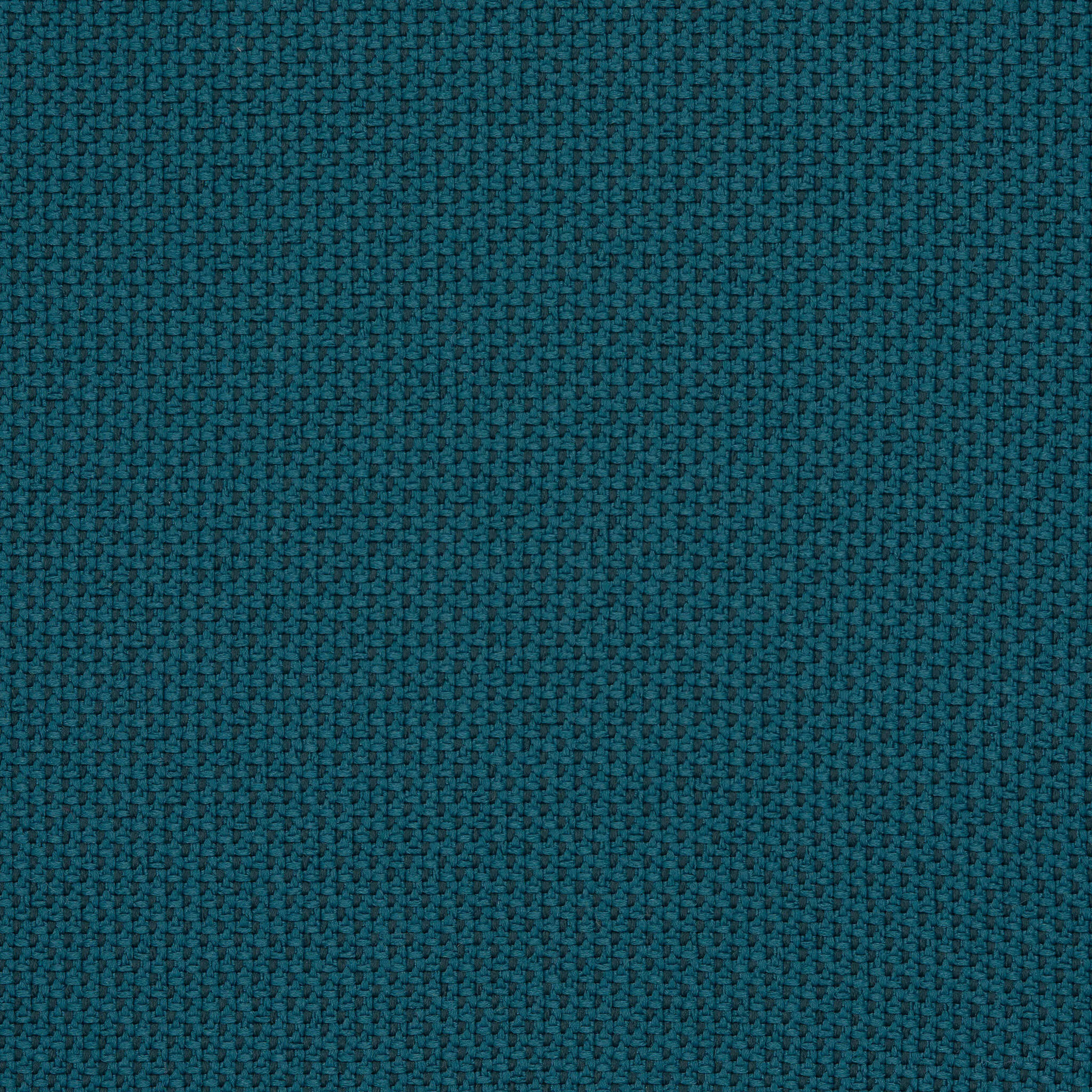 Camira_REP09 Camira_REP09