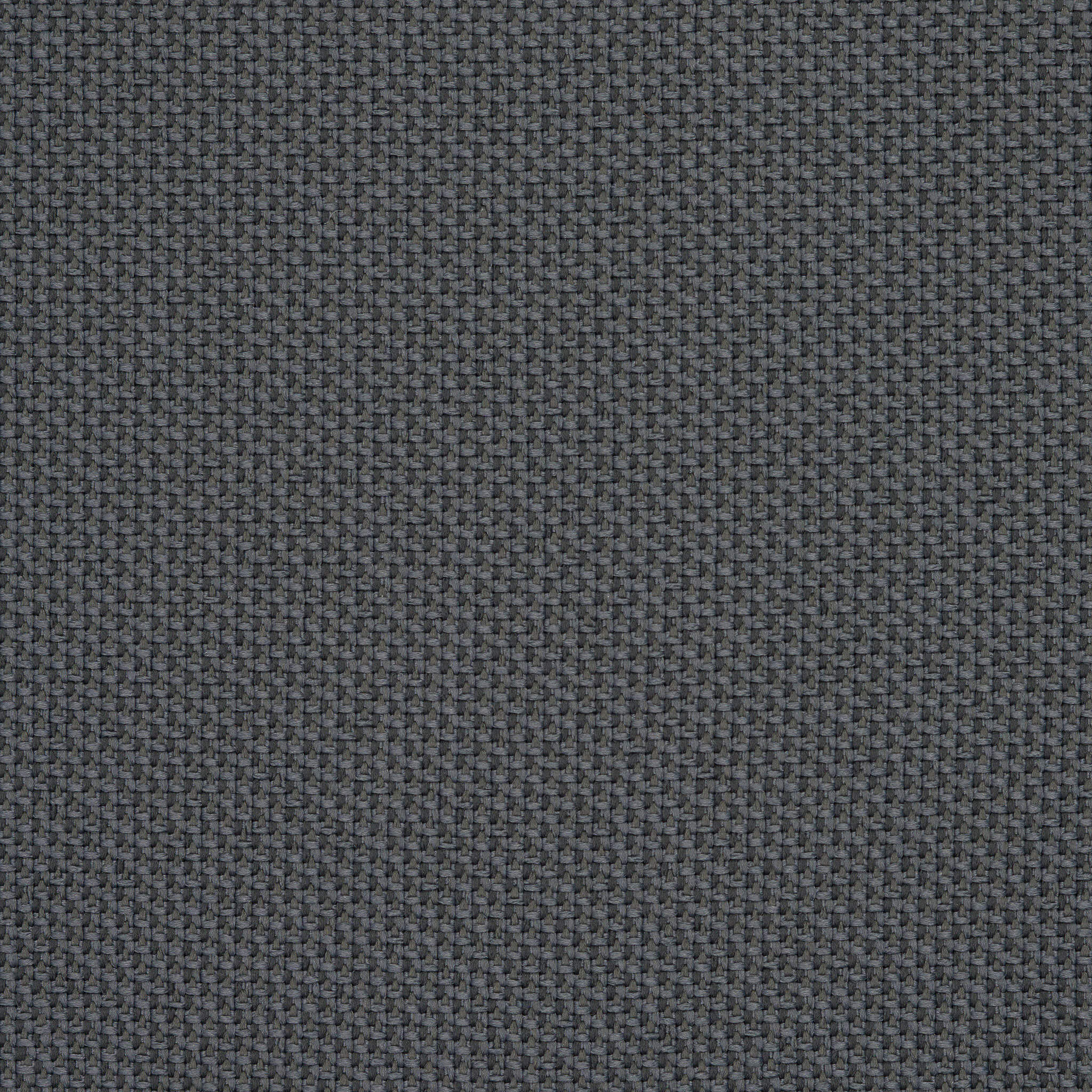 Camira_REP29