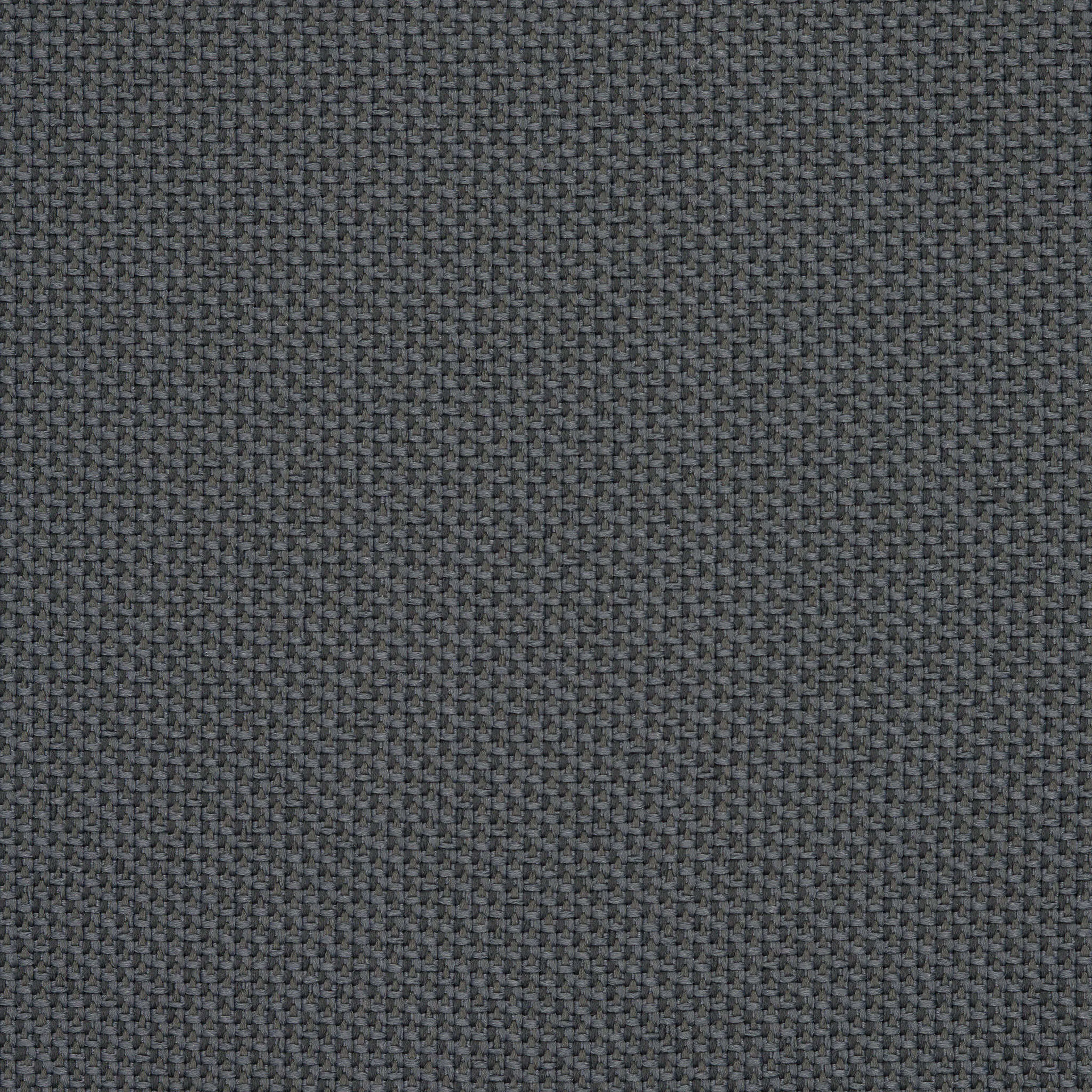 Camira_REP29 Camira_REP29