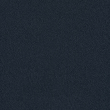POT09