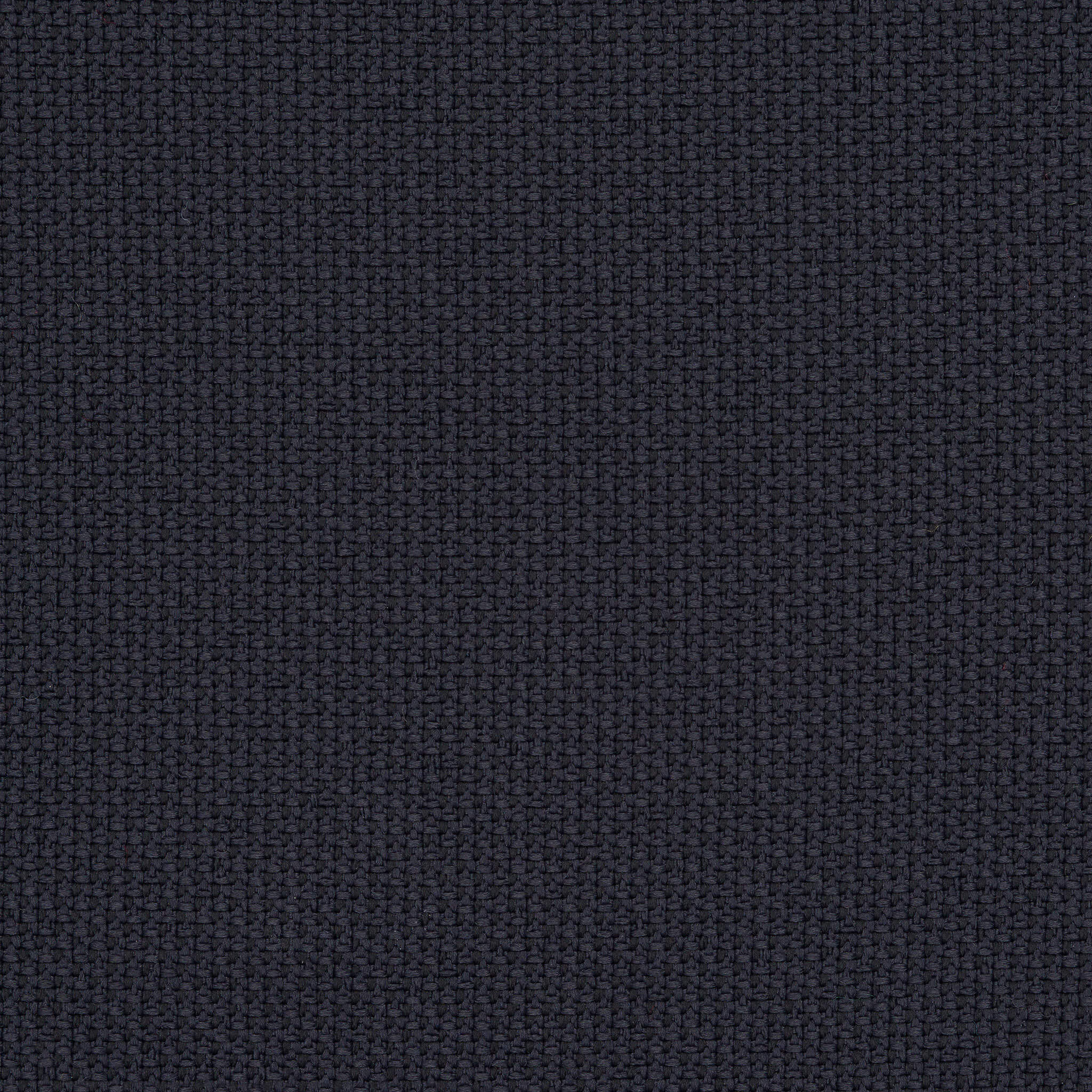 Camira_REP32