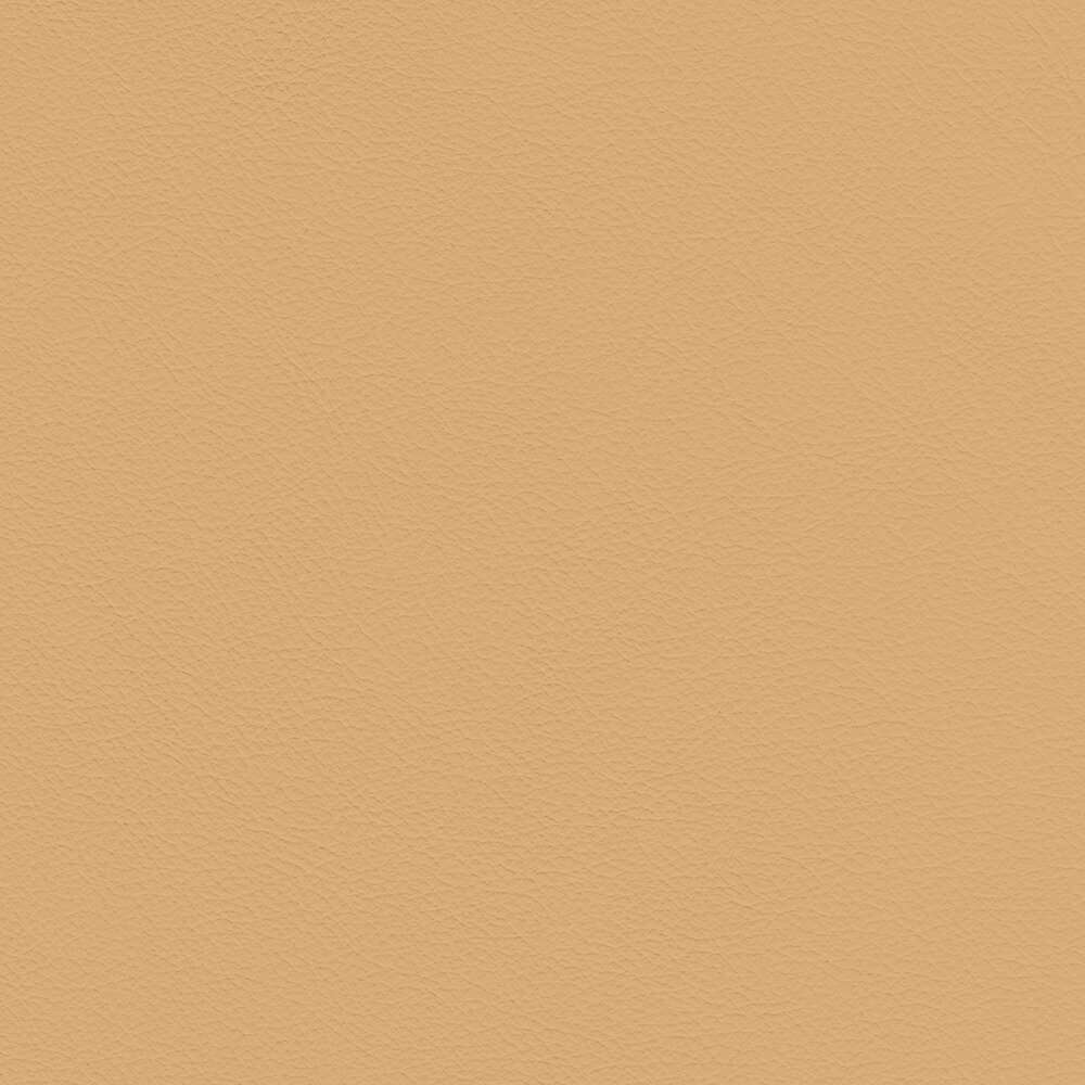 VIN06_WEB