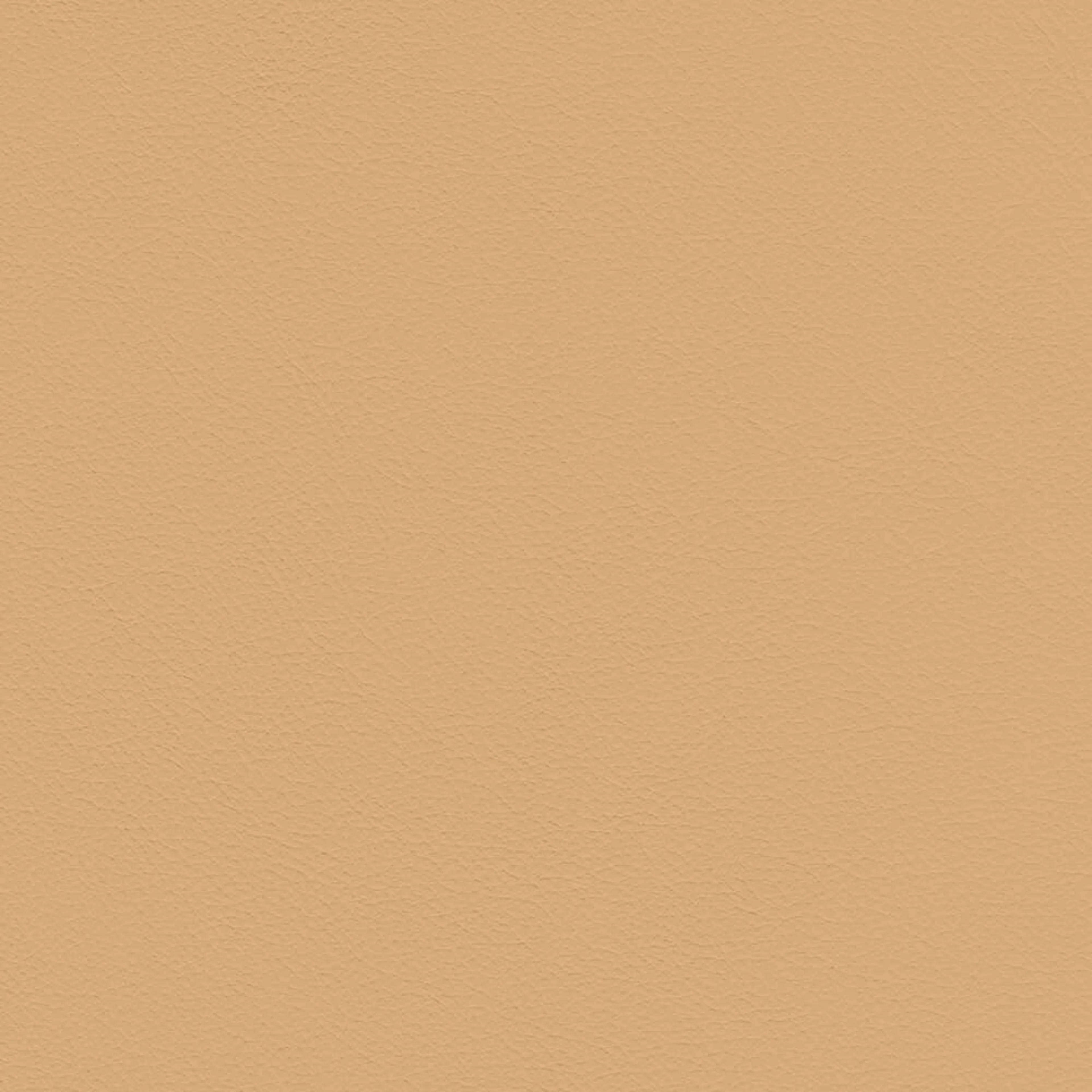 VIN06_WEB VIN06_WEB
