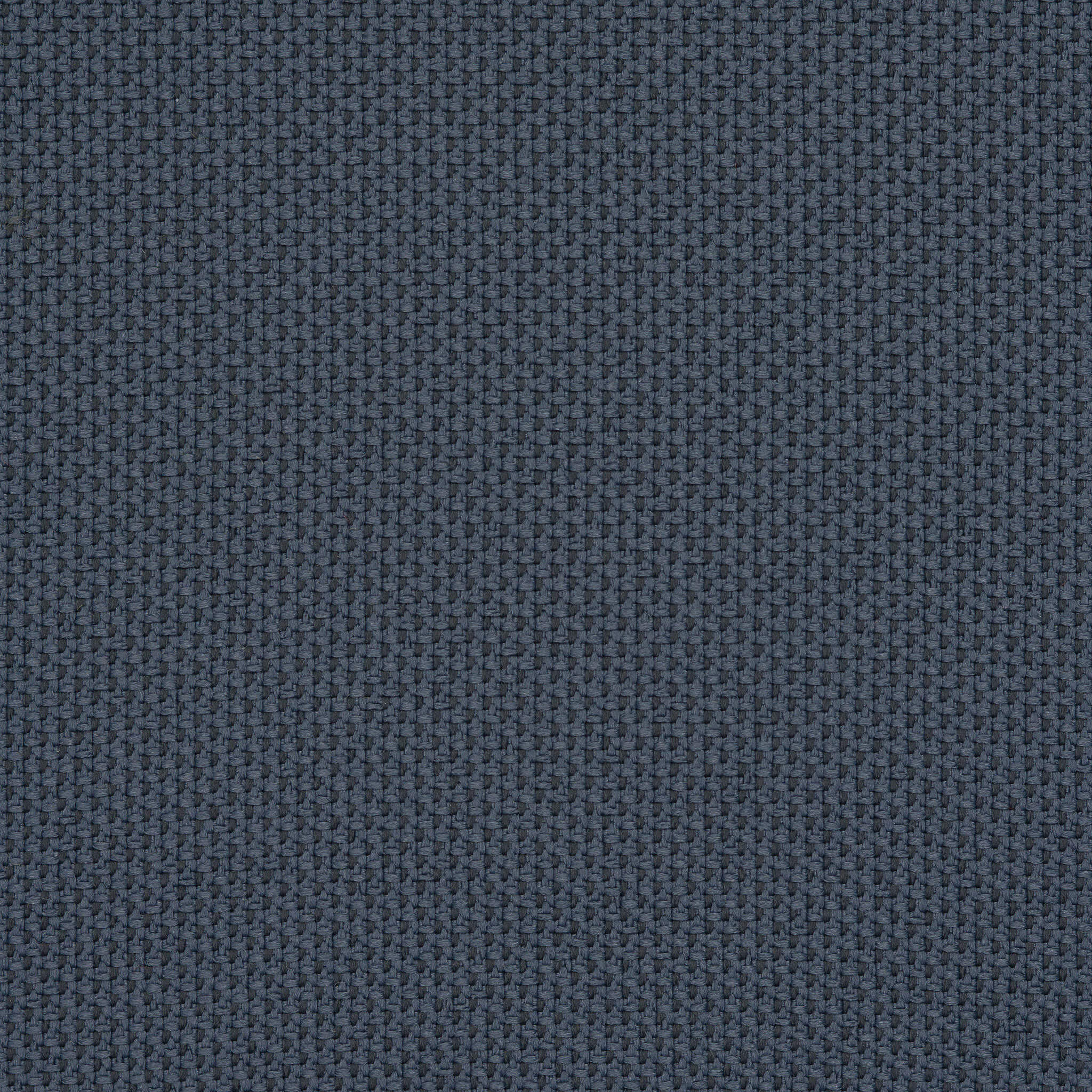 Camira_REP30