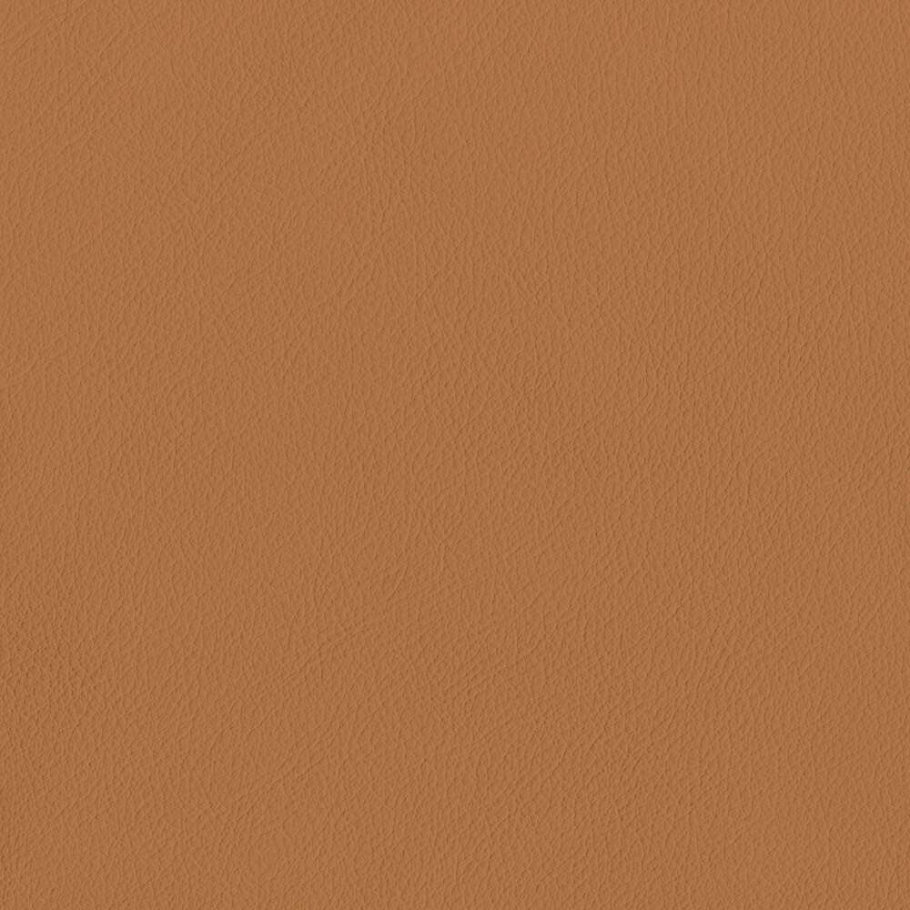 VIN10_WEB