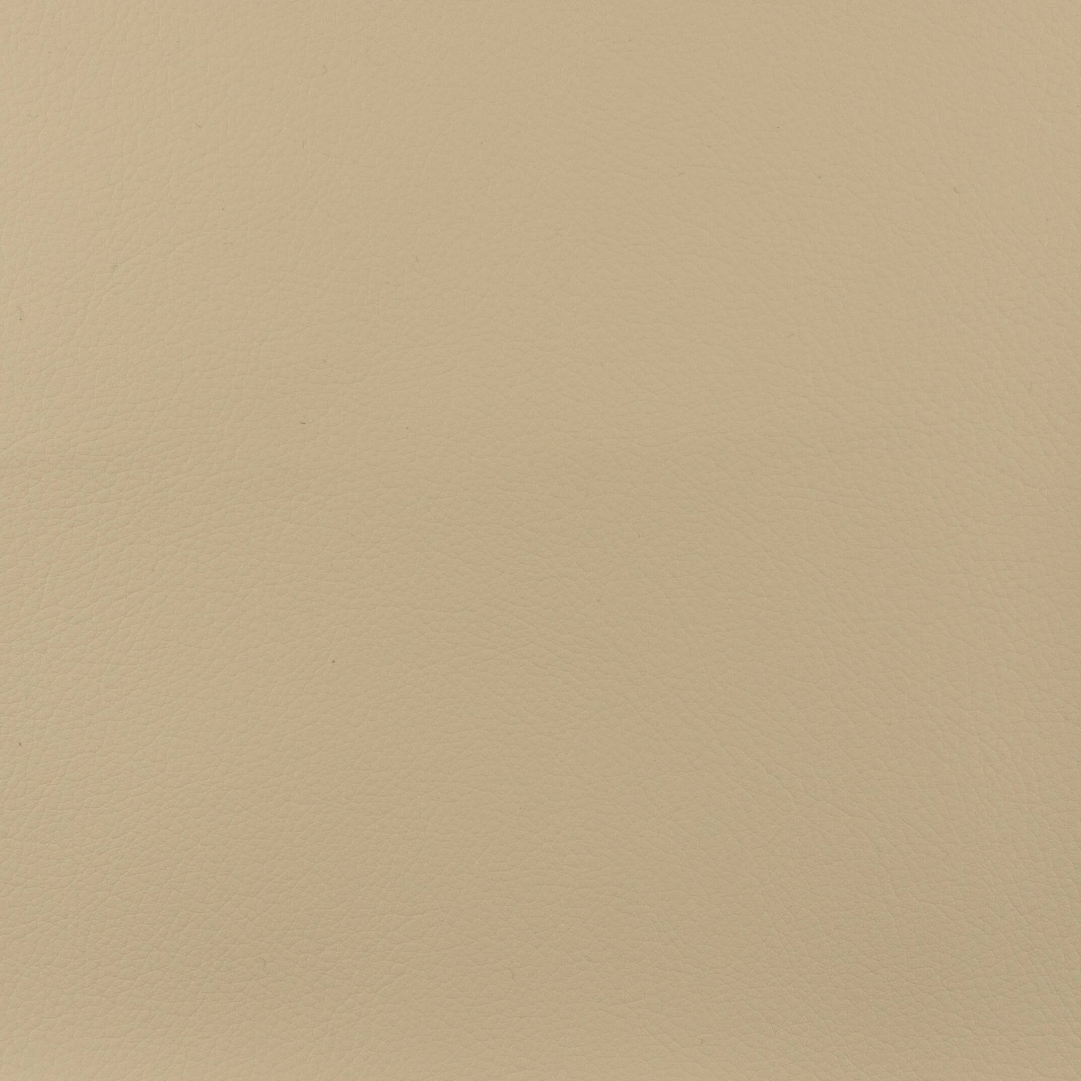 UAY002 Canvas