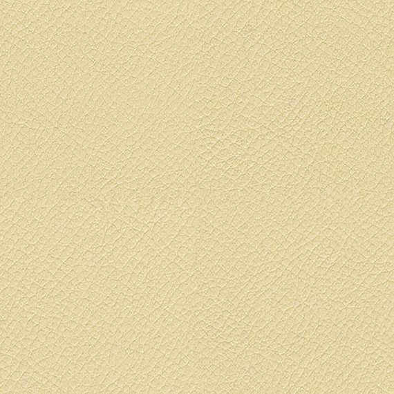 ITA37_WEB