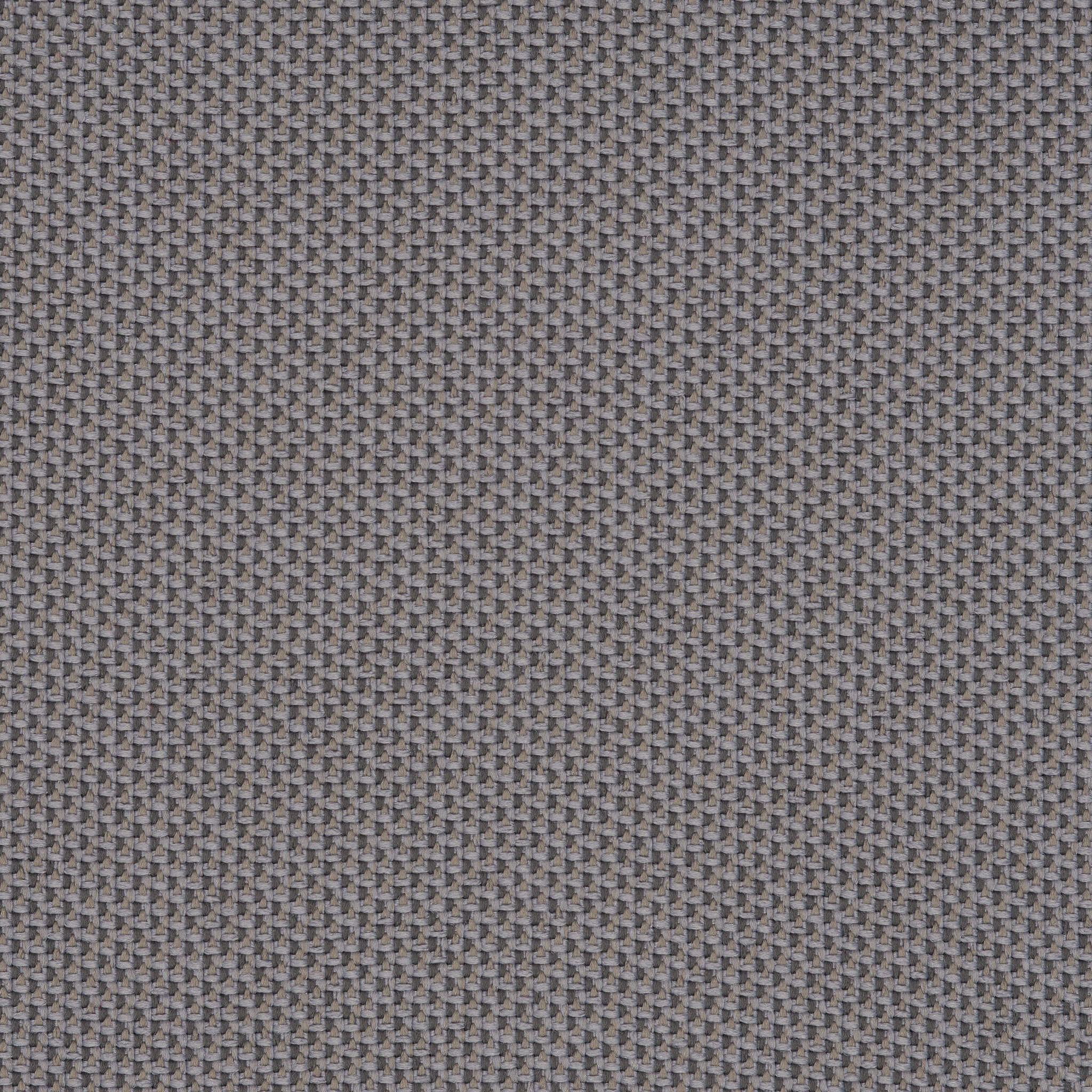 Camira_REP26