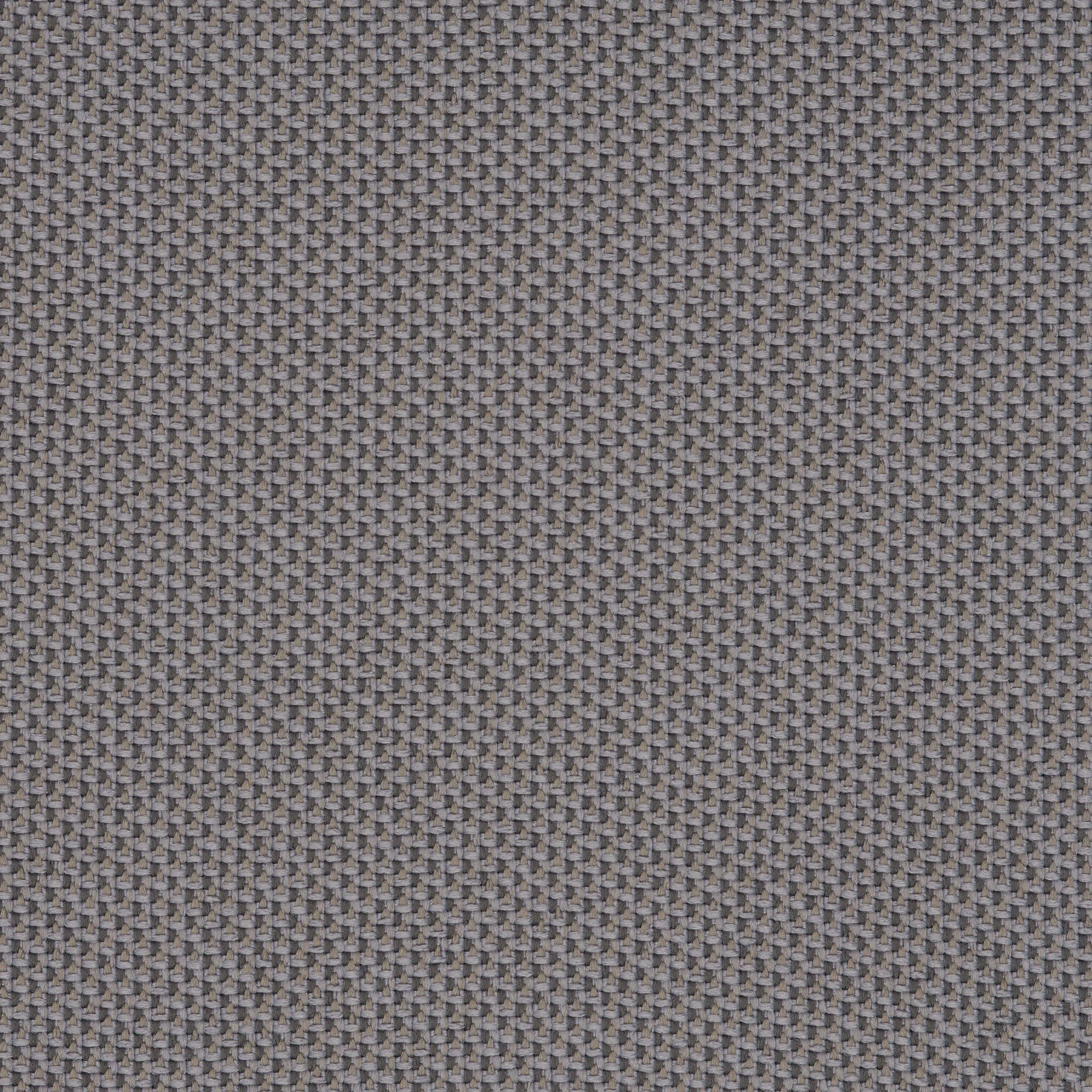 Camira_REP26 Camira_REP26